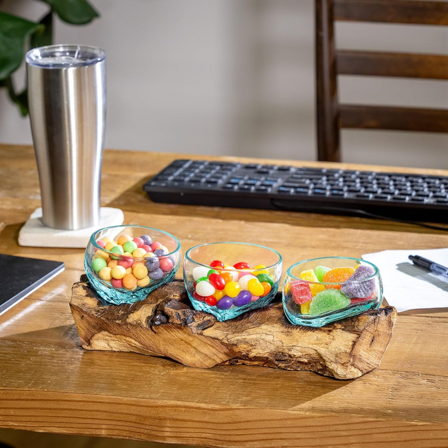 Cape Craftsmen Set of 3 Terrariums | Hand-Blown Blue Tinted Bubble Glasses On Natural Teak Driftwood Terrarium | Home Décor Indoor Planter with Stand | Glass Clear Pots for Succulent and Plants