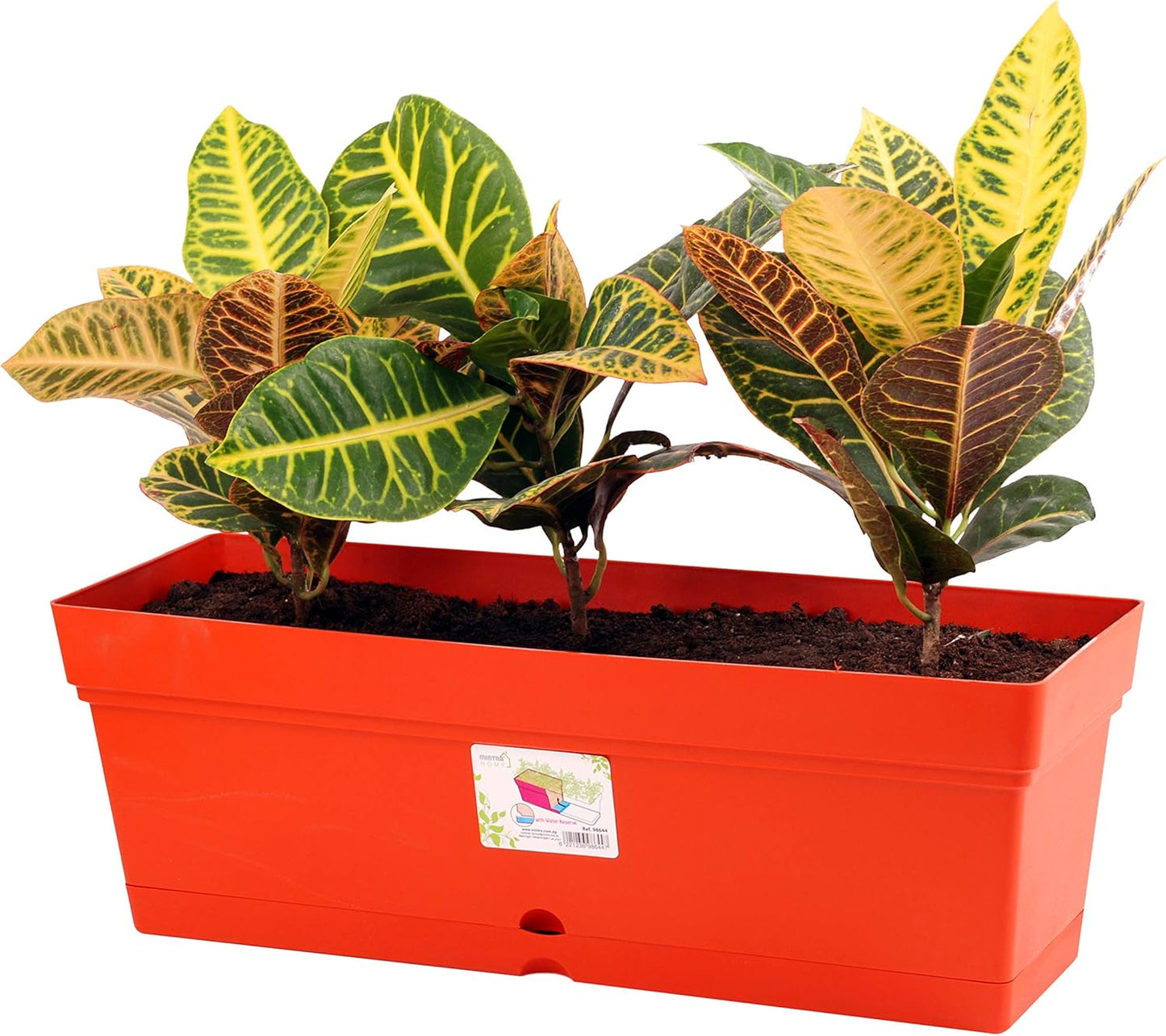 Mintra Window Box Planter, Window Planter Box for Indoor Outdoor Use, Rectangular Pots with Saucers & Drainage Holes, Decorative Plant Pots for Window Sill, Shelf, Desktop, 19" Wx6.75 H, Orange