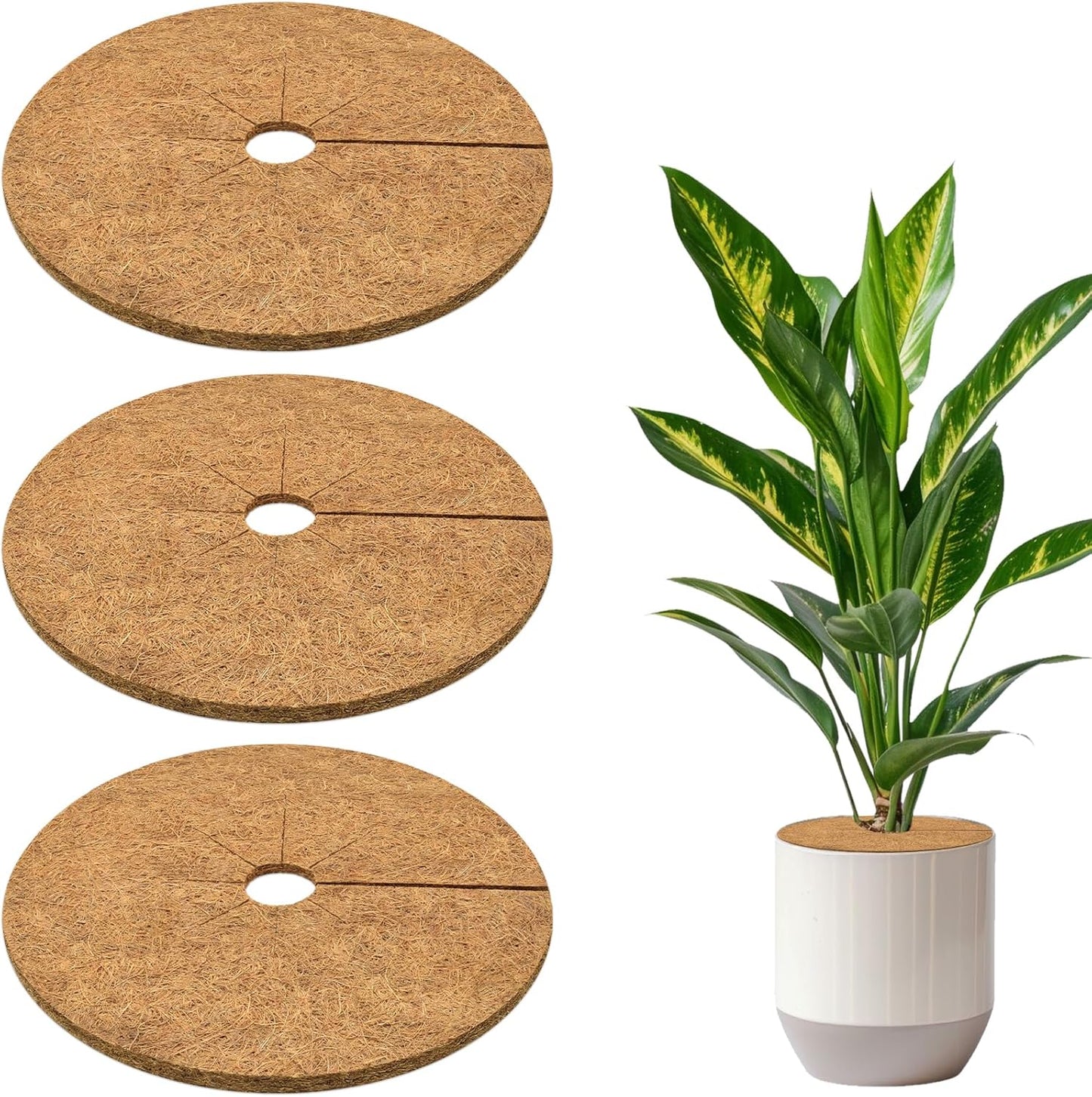 ZeeDix 3 Pack 12 Inch Coconut Fiber Mulch Ring, 100% Natural Coco Coir Tree Ring Mulch Mat Plant Protector Mat, Coconut Coir Discs Plant Pot Soil Cover for Indoor Outdoor Plants, Garden Decoration