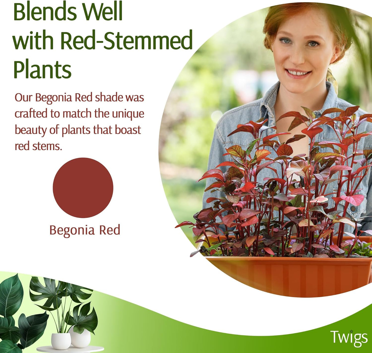 Plant Support Stakes, Stem Holder Structures for Indoor & Outdoor Use, Garden Accessories for Climbing & Potted Plants, Trellis Alternative - Begonia Red, 10 Pack, 22" L, Original