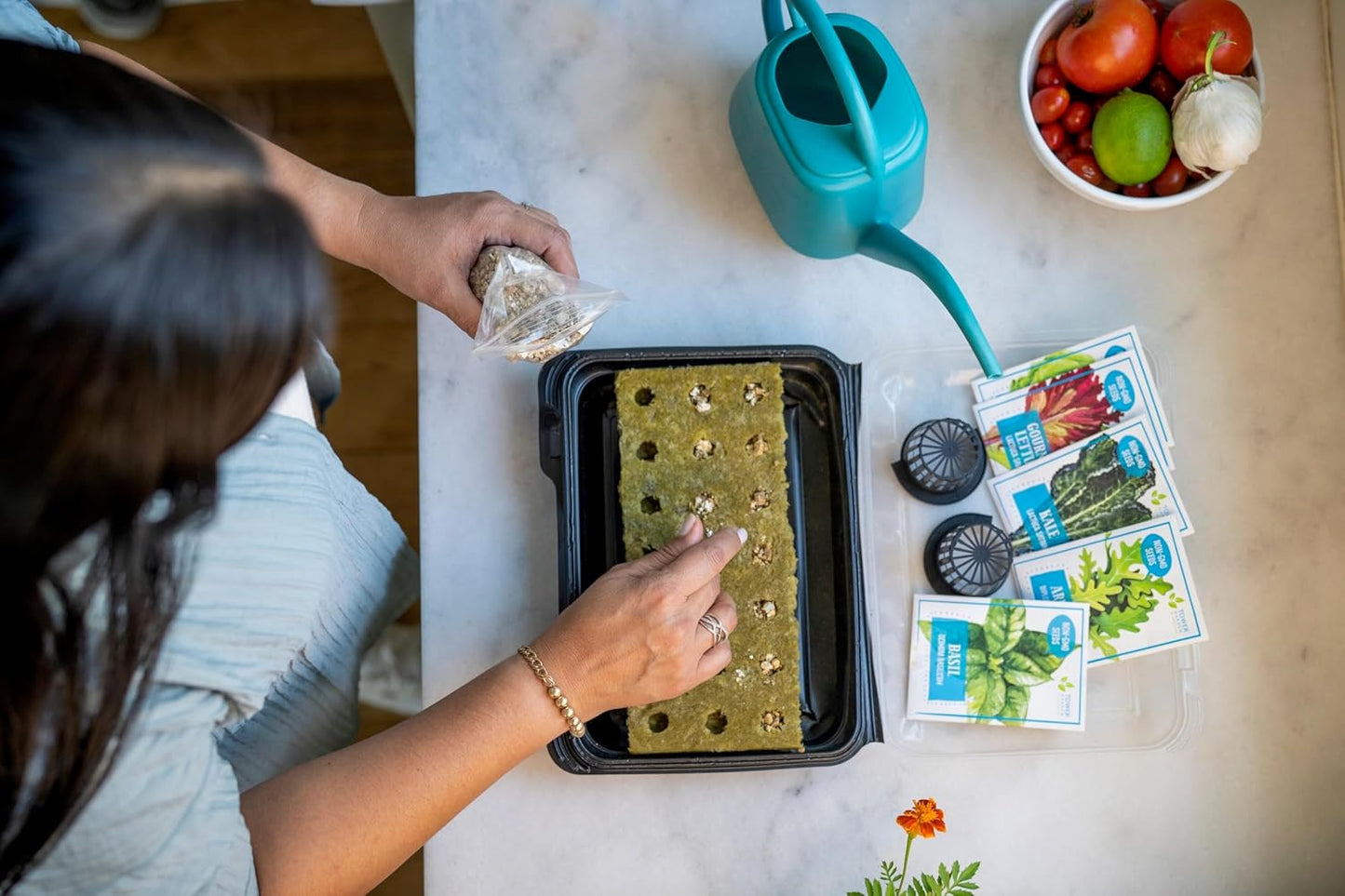 Tower Garden Seedling Starter Kit