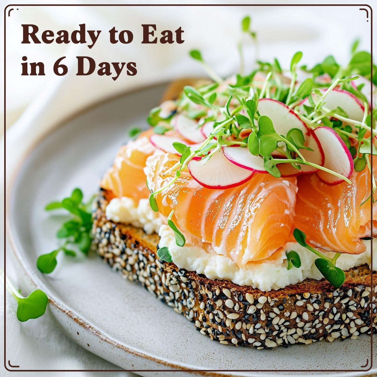 Seedboy Organic Radish Seeds for Sprouting - Non-GMO, USA Grown Microgreens Sprouting Seeds Mix - Makes 8 Quarts of Sprouts, 24 Servings (8 oz) (Daikon Radish)