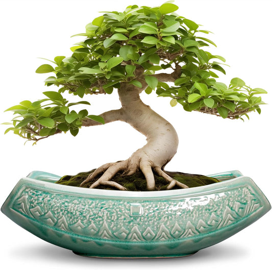 Bonsai Tree Pot - 18 Inch Ceramic Succulent Pots for Indoor Outdoor, Large Bonsai Planter with Drainage Hole, Ceramic Flower Pot, Decorative Planter, Gifts for Plant Lovers, Room Decor, Green