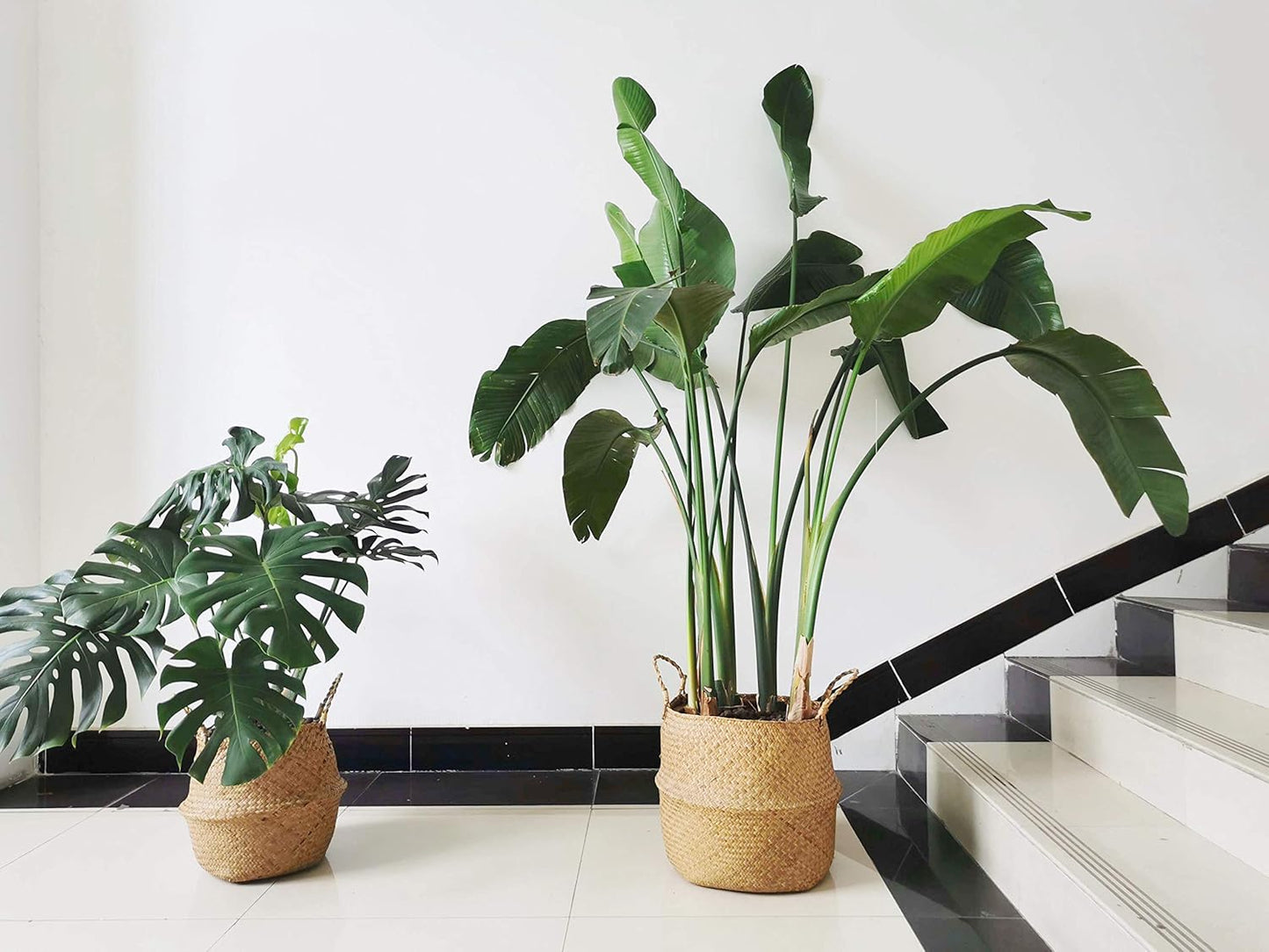 Extra Large Seagrass Plant Basket with Handles, Wicker Woven Storage Basket (14.1“ Diameter x 13.8" Height), Natural)