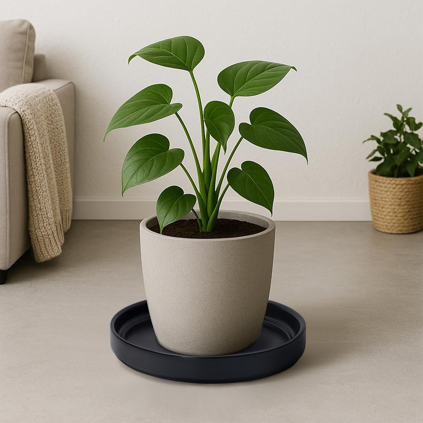 D'vine Dev Modern Round 10.4 Inch Ceramic Plant Pot Saucer, Planter Pot Drainage Tray for Indoor Plants, Matte Black, 97-T-B-5