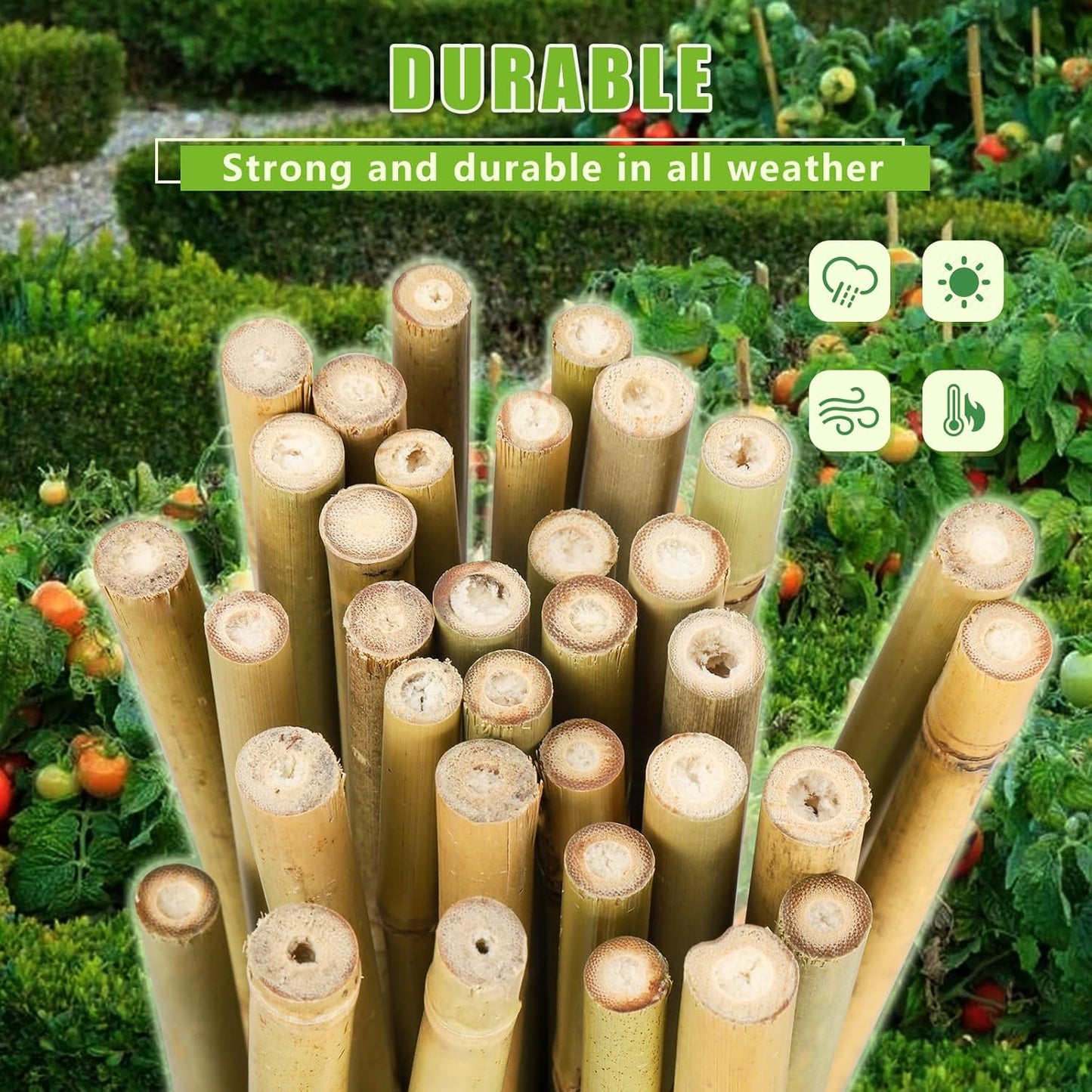 Natural Bamboo Poles, 2 Feet Bamboo Sticks for Plants, Wood Garden Stakes for Tomato, Bean, Flowers, Trees Potted and Climbing Plants, 25 Pack