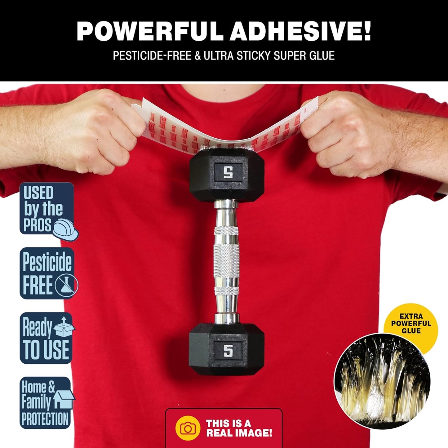 Catchmaster Mouse & Insect Glue Boards 12-Pk, Mouse Traps Indoor for Home, Bulk Glue Traps for Mice and Rats, Adhesive Boards for Inside House, Snake, Lizard, & Spider Trap, Pest Control for Home