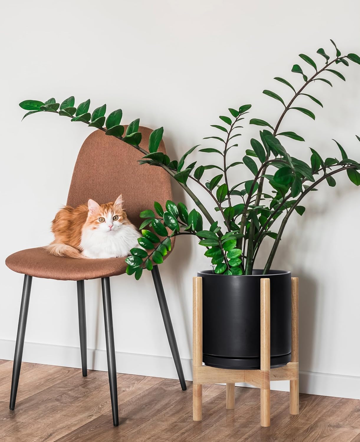 D'vine Dev Ceramic Planter with Natural Stand - 10 Inch Modern Round Flower Pot with Wood Planter Holder, Black, 55-B-K-2