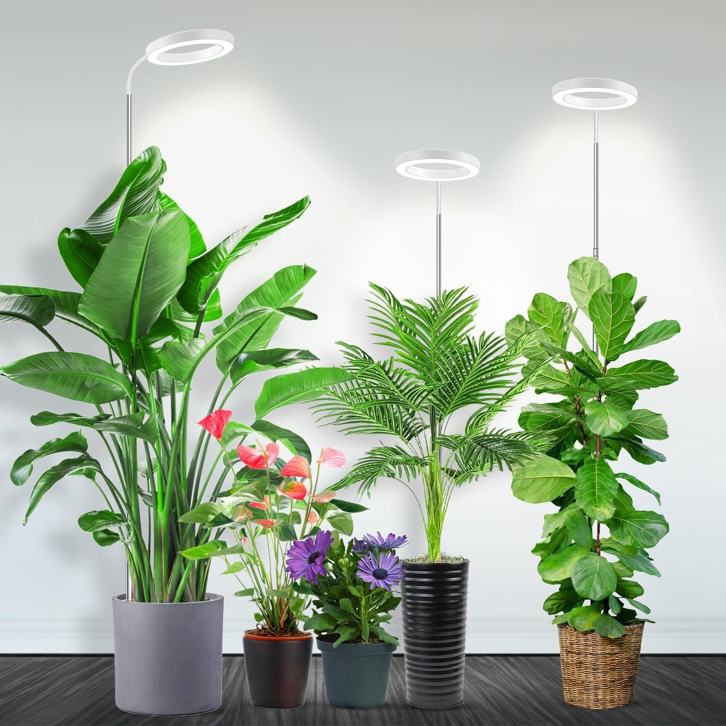 Garpsen Halo Grow Light, Full Spectrum Plant Light with Gooseneck, 3 Colors Modes and 5 Dimmable Levels, 6/12/16H Timer, 65'' Height Adjustable Grow Lamp for Large Plants(3Pack)-White