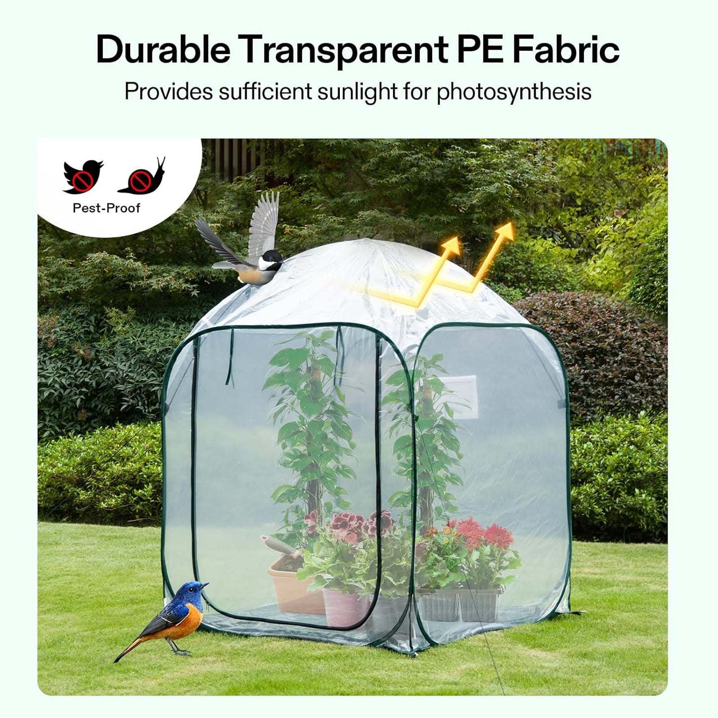 VIVOSUN 49x49x63-Inch Portable Walk-in Greenhouse, with PVC Cover & Detachable Base, Instant Pop-up and Folding, Mini Greenhouse with Roll-Up Door & Mesh Window for Indoor Outdoor, Wind Ropes Included