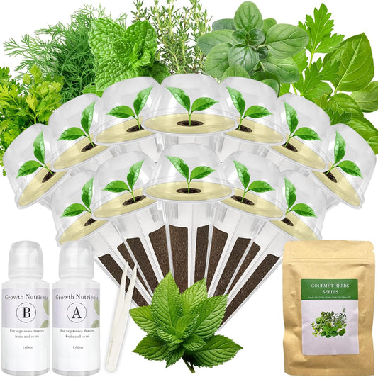 Gourmet Herbs Seed Pod Kit for AeroGarden, iDoo, Ahopegarden, MUFGA with Basil, Parsley, Thyme, Mint, Cilantro, Dill, Oregano - Compatible with All Hydroponics (12-Pod)