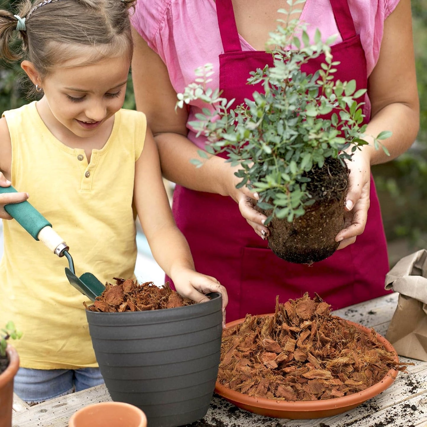 Halatool 10LB Compressed Coconut Coir Chips, 100% Natural Organic Coco Husk Chips Coco Chips Substrate for Plants Flowers, Garden