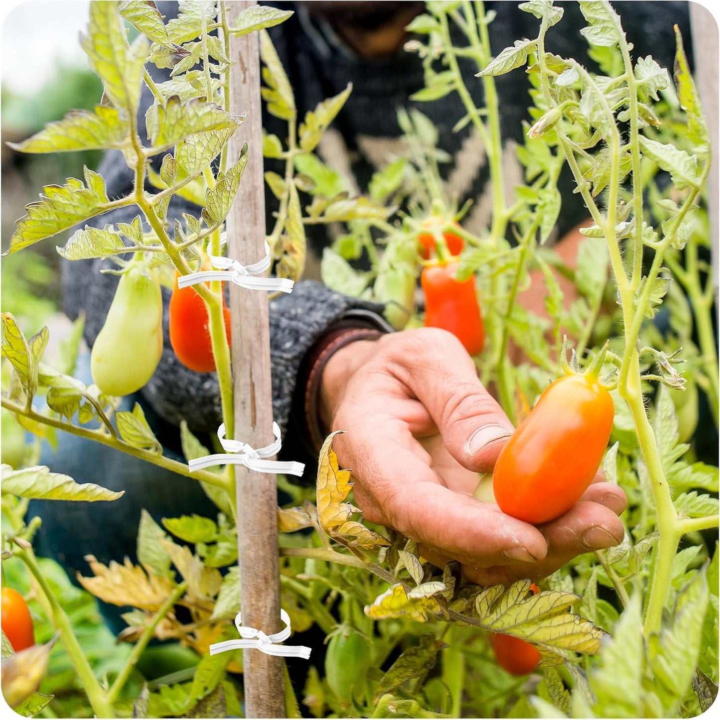 200PCS 4.72 Inch Kraft Paper Twist Ties, Reusable Cable Ties for Tying Bread, Plant Support, Bread Packaging, Candy Bags and Craft Projects (White)