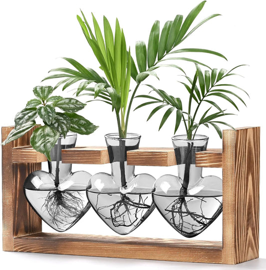 Lifecapido Heart Shaped Propagation Stations, Plant Terrarium with Wooden Stand, Plant Propagation Station for Hydroponics Plants Office Garden Home Decor, Gifts for Women Plant Lover (3 Vases, Gray)