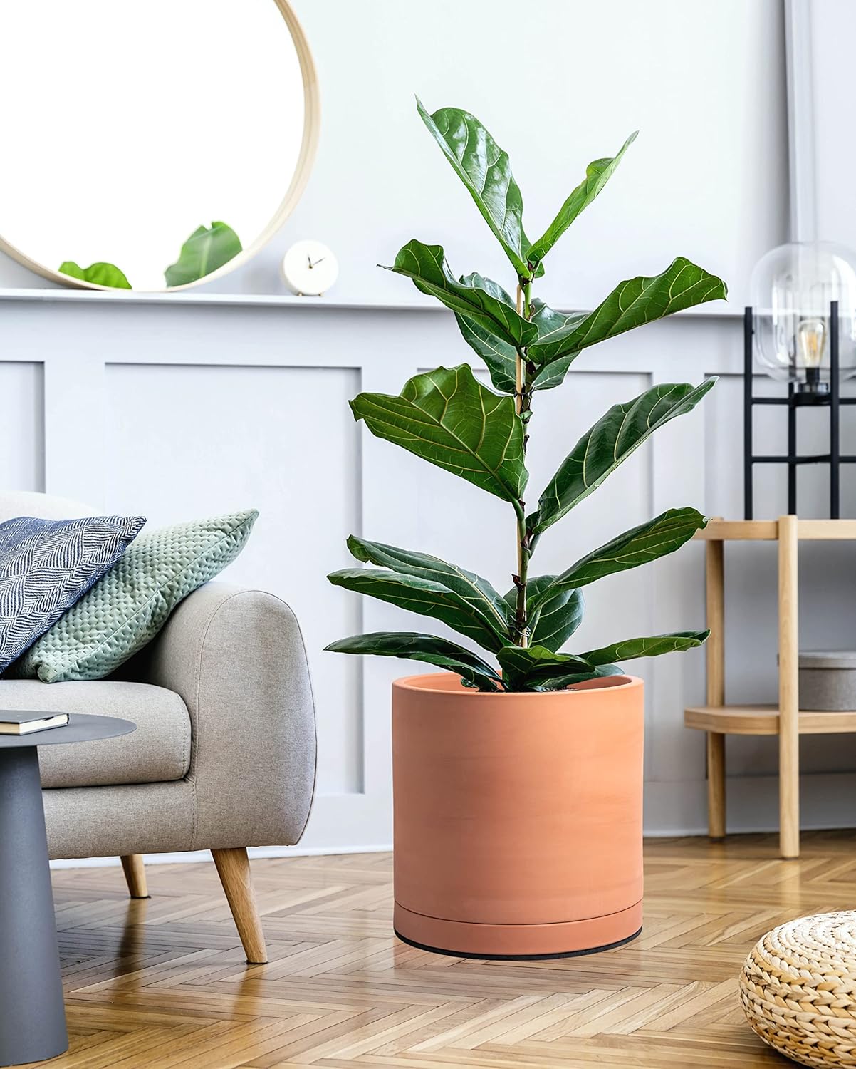 D'vine Dev X-Large 12 Inch Terracotta Plant Pot with Drainage Hole and Saucer, Round Cylinder Planter Pot for Indoor Plants, 40-X-A-6