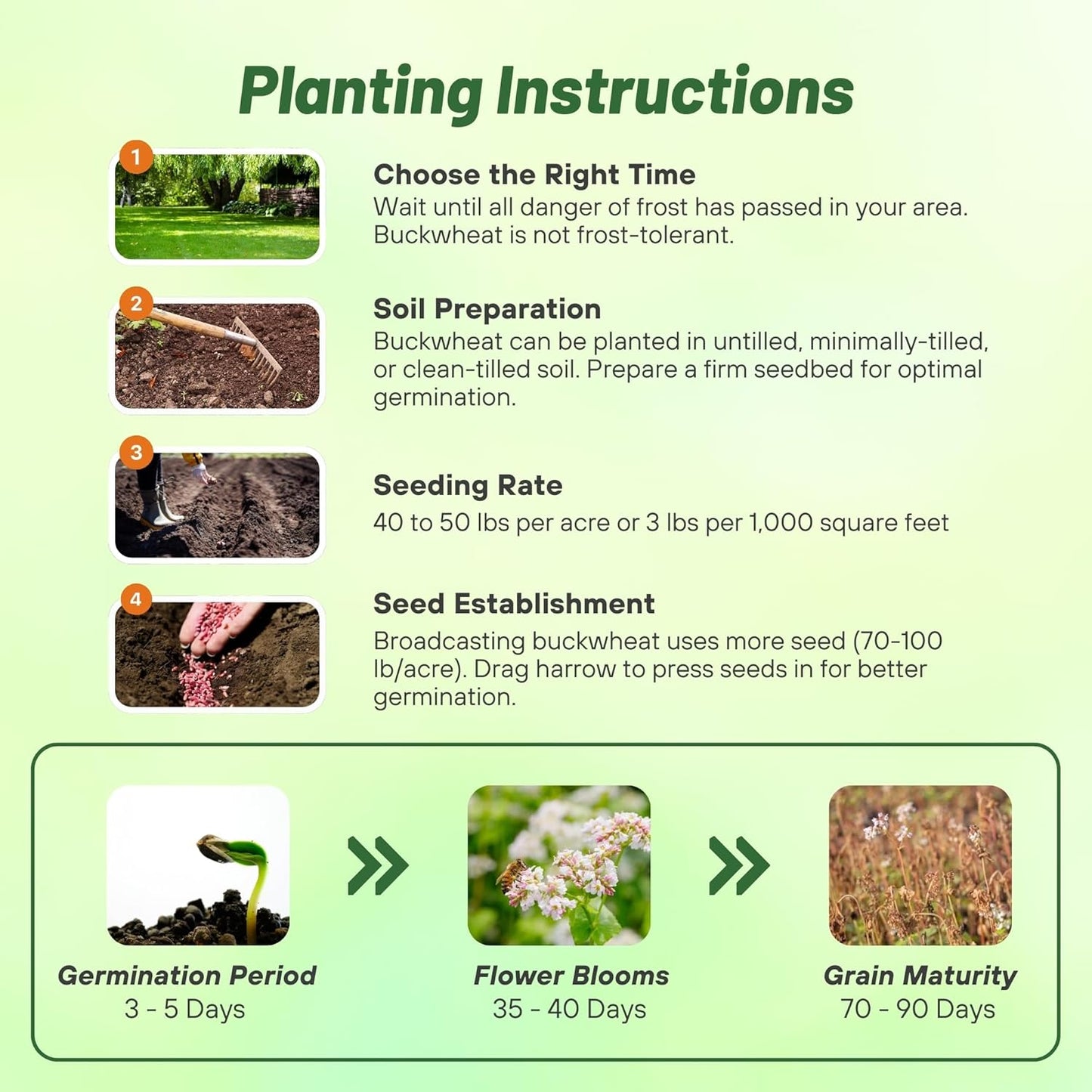 Outsidepride Buckwheat Seeds - 20lbs Annual, Fast-Growing, Easy to Grow Buckwheat Cover Crop Seeds for Green Manure, Bee Pasture & Pollinators, Wildlife Habitat, Soil Improvement, and Erosion Control