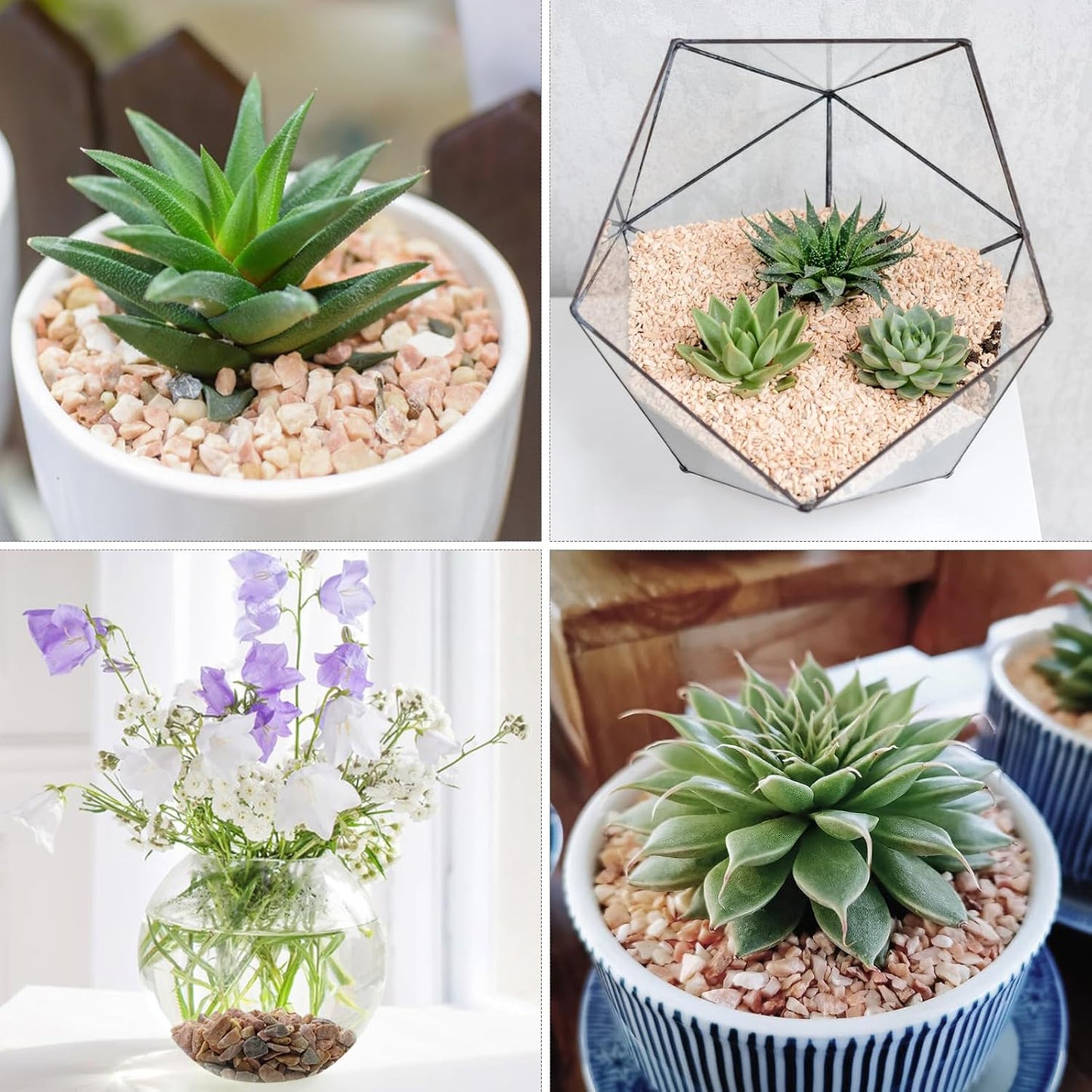 10lbs Peach Pebbles for Plants, 3/8inch Small Rocks for Succulent Cactus Plants, Natural Polished Pebbles, River Rocks for Plants, Vases, Garden