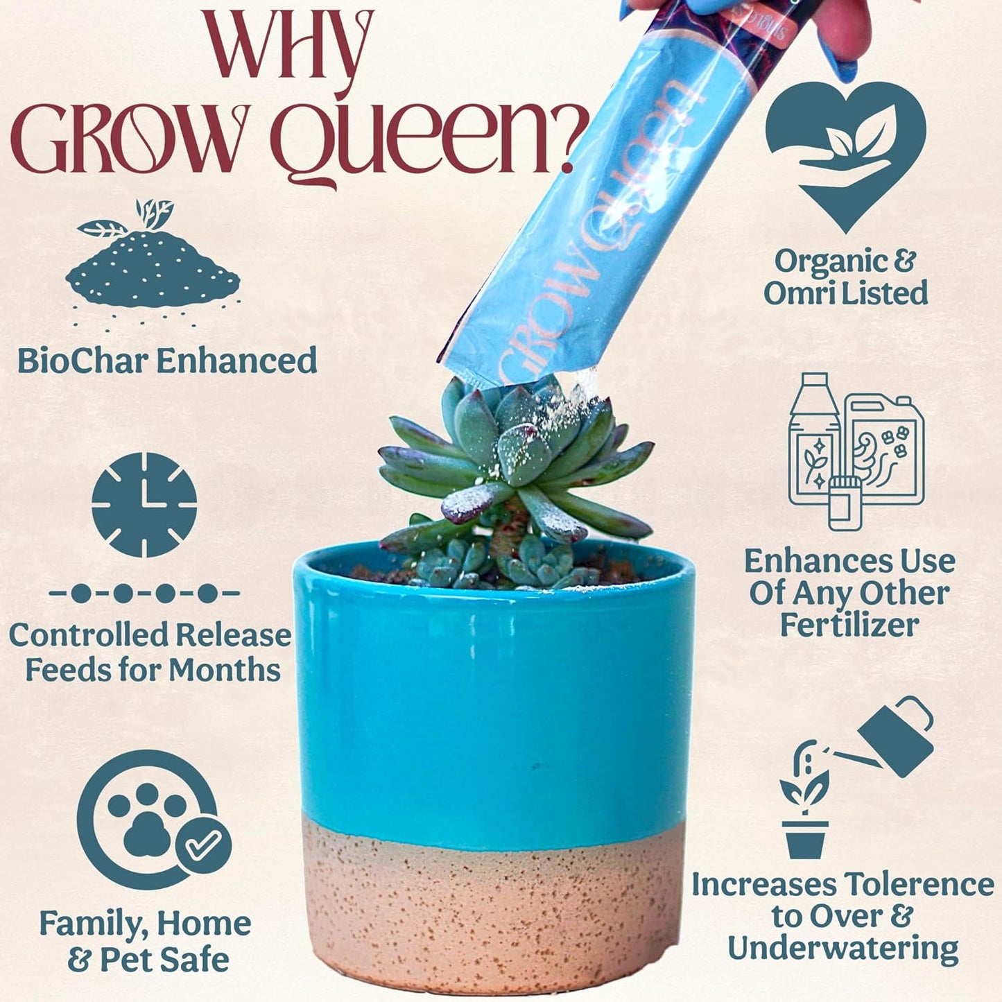 Complete Organic Cactus & Succulent Fertilizer, Succulent Plant Food & Cactus Food, Bonsai, Snake Plant Fertilizer, 7 Servings Fast & Slow Release Feeds up to 28 Plants 8 Months