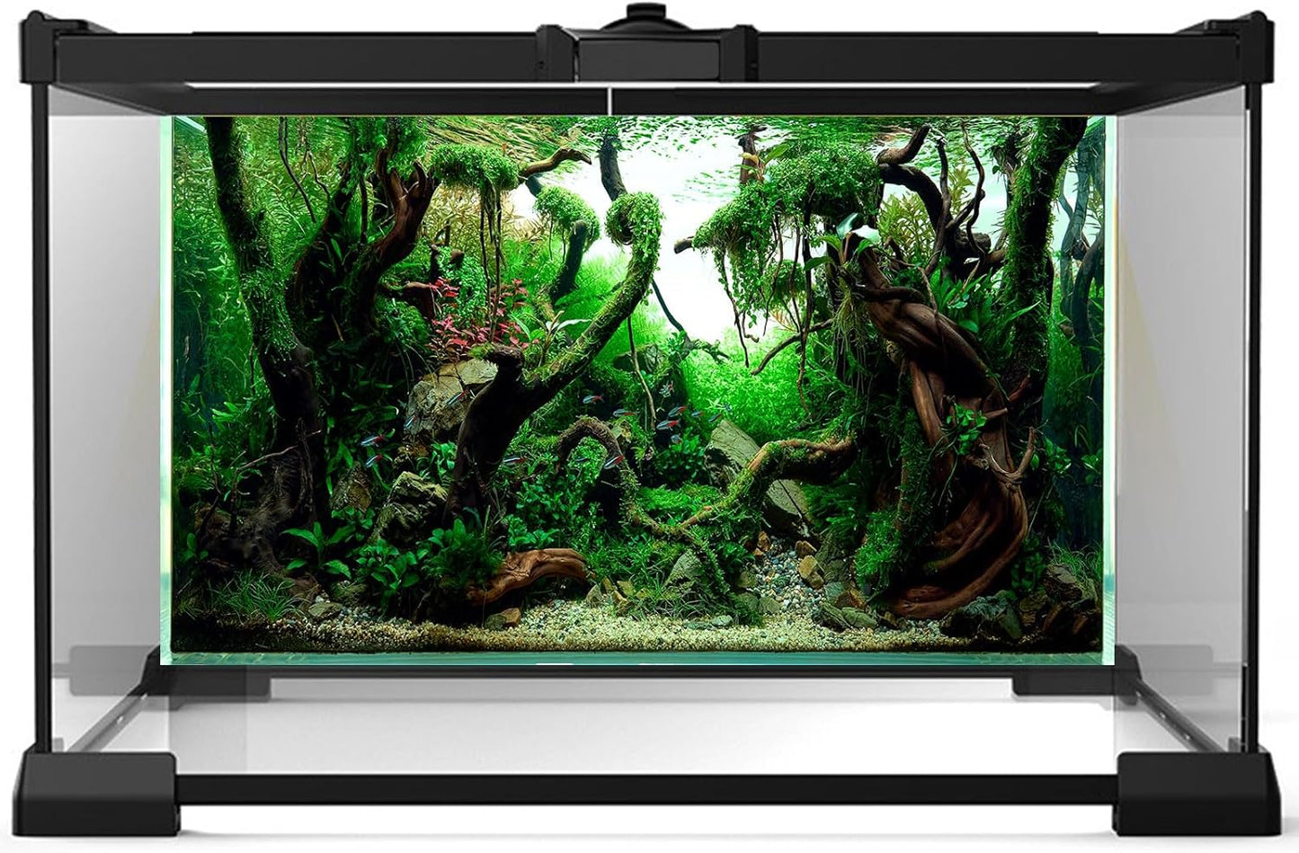 Aquarium Background Underwater Pebble Grass Leaves Aquarium Backdrop Vivid Fresh Green Aquatic Plant Stone River Bed Aquarium Backdrop Deadwood Purple Leaves Tank Background Vinyl 72x24in