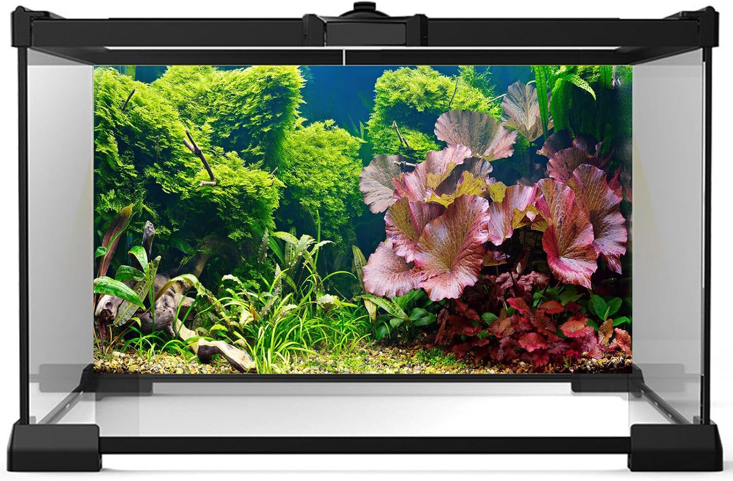 Fish Tank Background Underwater Grass Leaves Pebble Aquarium Background Vivid Fresh Green Aquatic Plant Terrarium Background Stone River Bed Dead Wood Purple Leaves Tank Background 48x24in