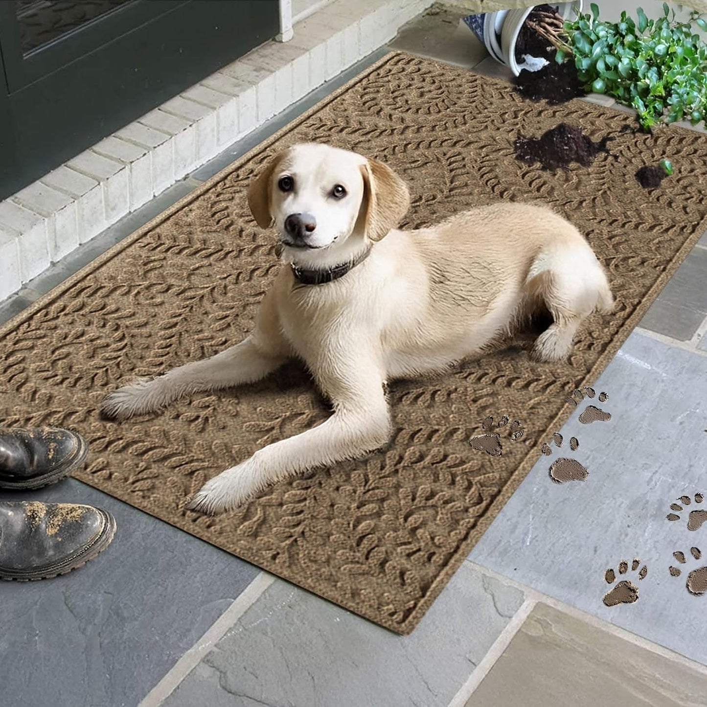 WaterHog Indoor/Outdoor Use Door Mat, 3' x 5', Made in USA, Welcome Mat for Front Door, Durable, Water-Trapping Floor Rug, Decorative, Skid-Resistant Entryway, Boxwood Collection, Khaki/Camel
