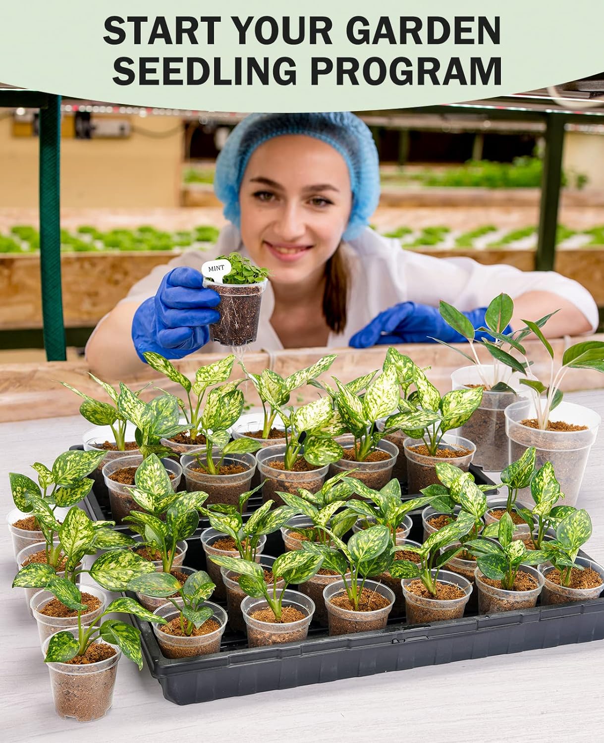 homenote Clear Nursery Pots for Plants,3 Inch Plant Pot for Planting Plastic Seedling with Drainage Holes Seed Starter Flower High Transparency with 20 Labels (60 Pack)