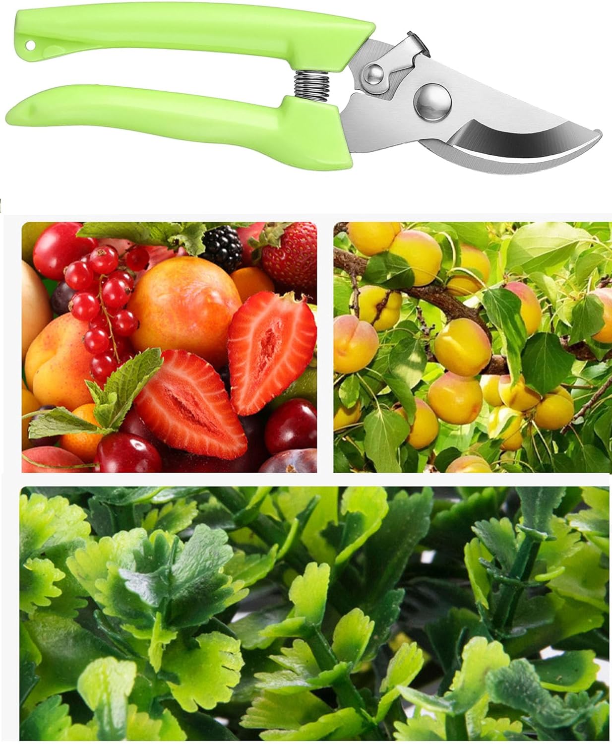Garden Flower Shears Pruning Shears 6.9 inches Scissors Heavy Duty Plant Scissors for Cutting Flowers, Trimming Plants, Bonsai, Fruits Picking (Green Handle)