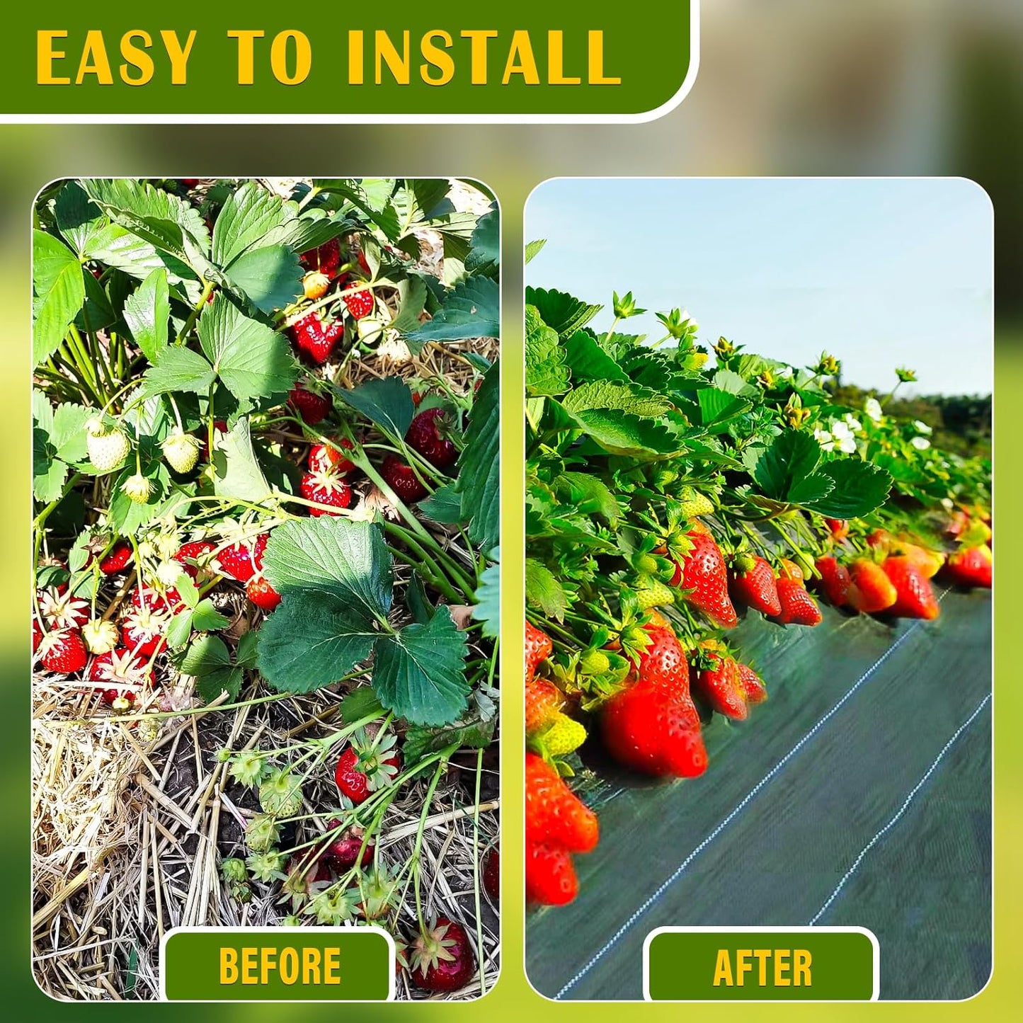 4x200FT Weed Barrier Fabric, Heavy Duty Weed Barrier Landscape Fabric, Garden Weed Barrier Fabric for Garden Fabric, Landscaping Fabrics, Driveway Fabrics