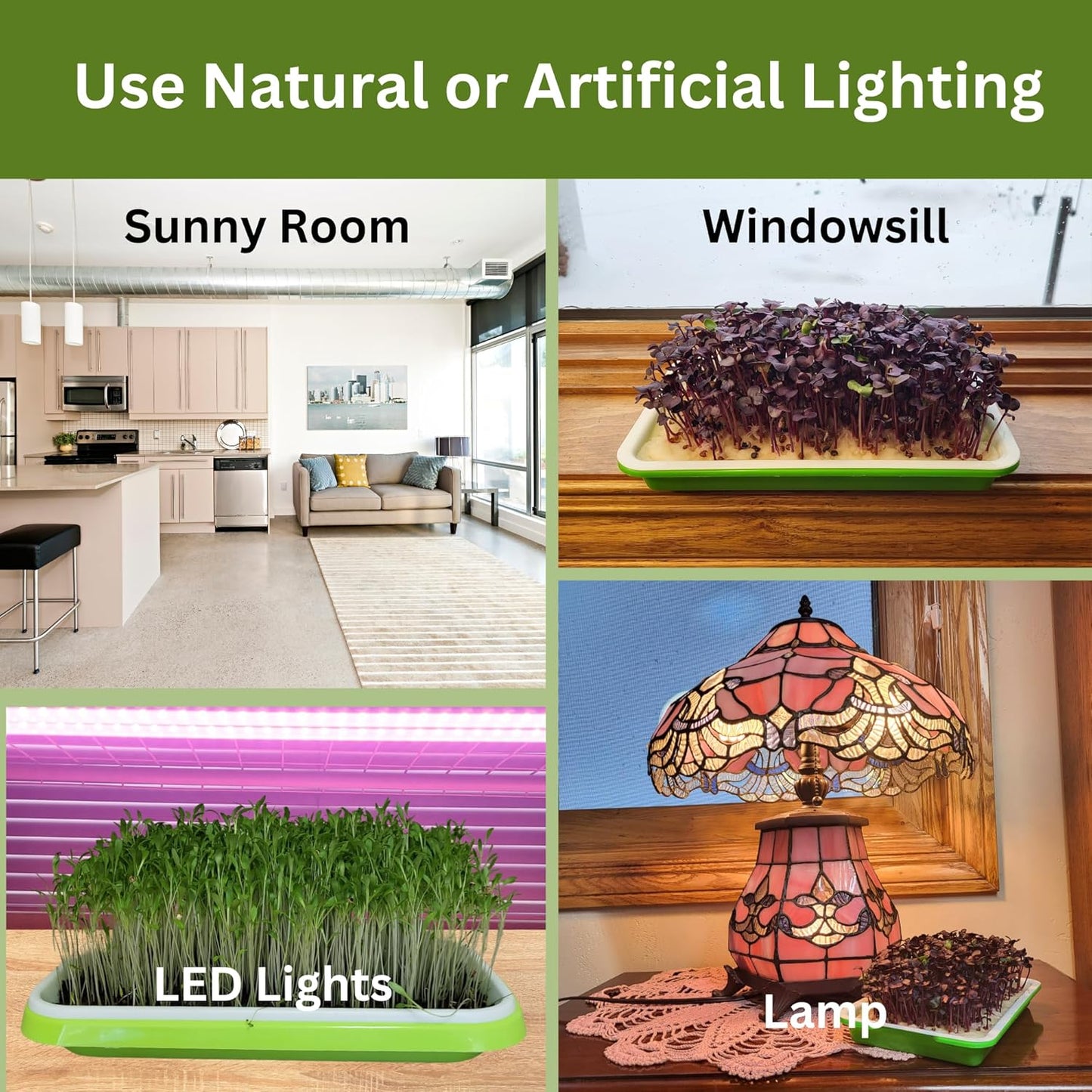 Home Microgreens Kit Refill - Coco Coir Growing Medium - Premeasured for 4 plantings; Includes Non-GMO Organic Broccoli and Radish Seeds for 4 Harvests - Detailed Instruction Sheet