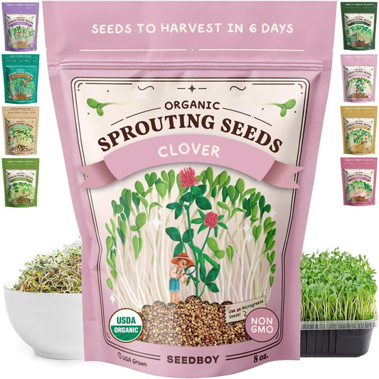 Seedboy Organic Clover Seeds for Sprouting - Non-GMO, USA Grown Microgreens Sprouting Seeds Mix - Makes 8 Quarts of Sprouts, 24 Servings (8 oz) (Red Clover)