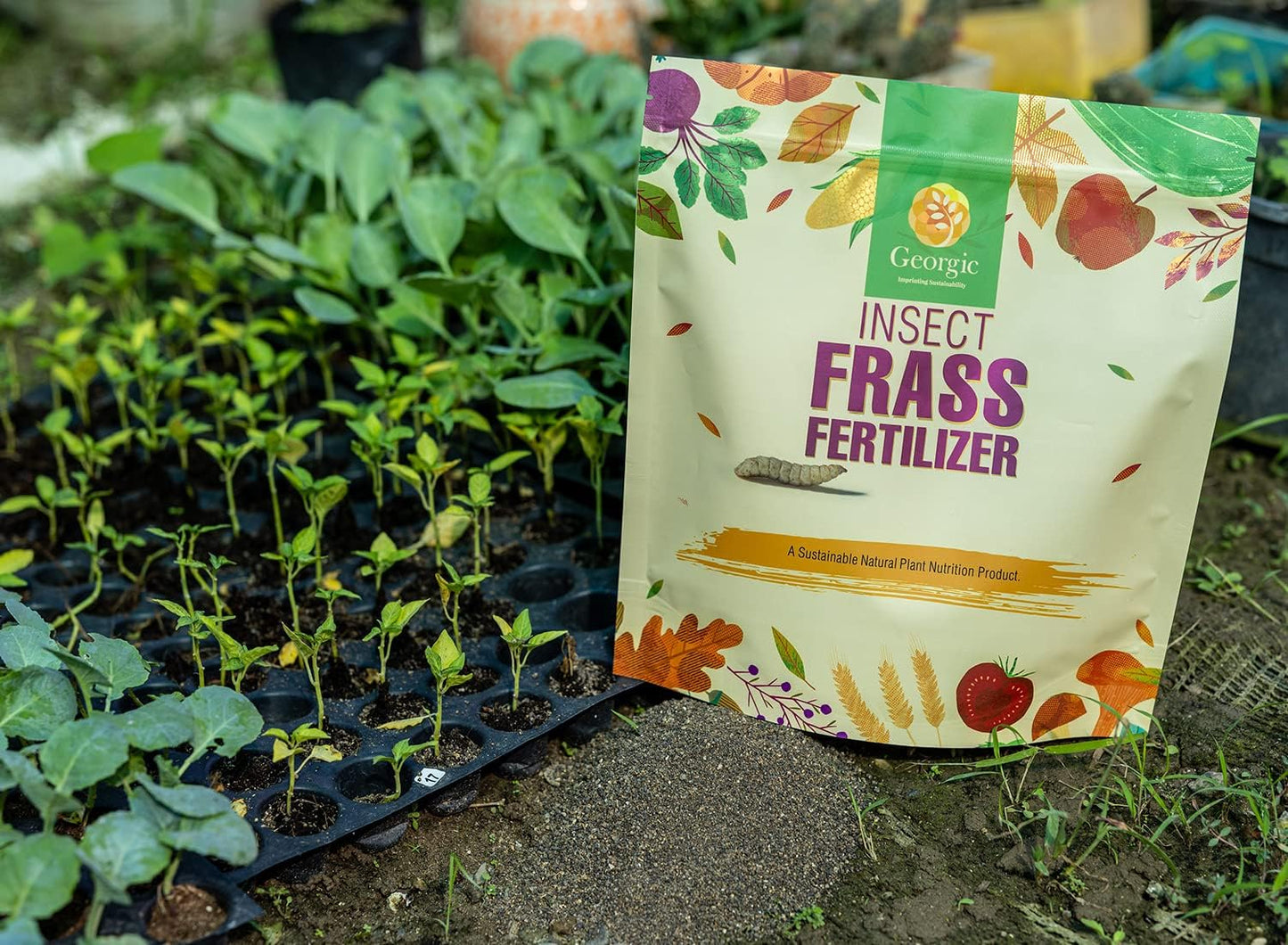 Insect Frass Fertilizer for Soil Amendment, All-Purpose Organic House Plant Food and Fertilizer- Pack of 3
