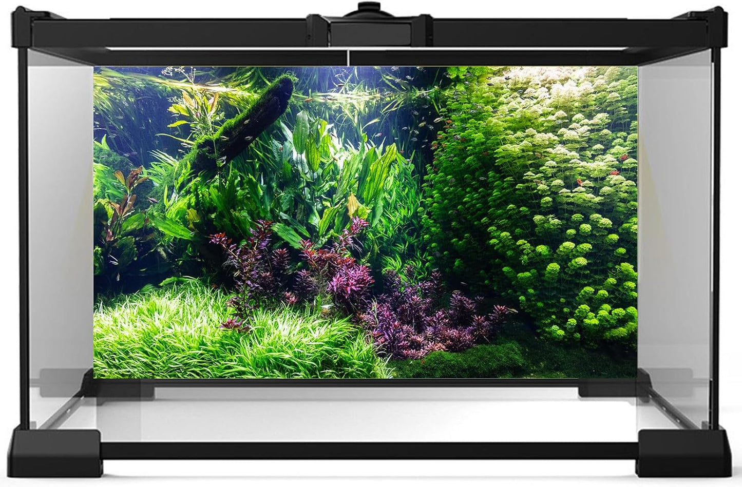 Aquarium Background Various Underwater Grass Plants Aquarium Backdrop Vivid and Fresh Green Aquatic Plants Stone River Bed and Dead Wood Tank Background Vinyl 24x16in