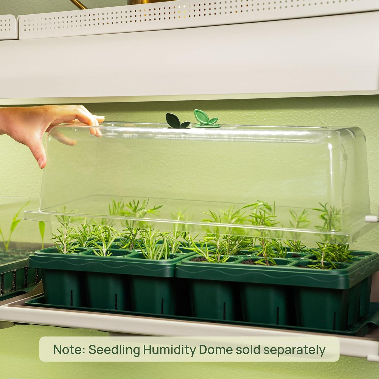 Vego garden Giga Seedling Trays - 16 Pack, 9-Cell UV-Resistant Reusable Starter Trays for Greenhouse/Garden (No Lids)