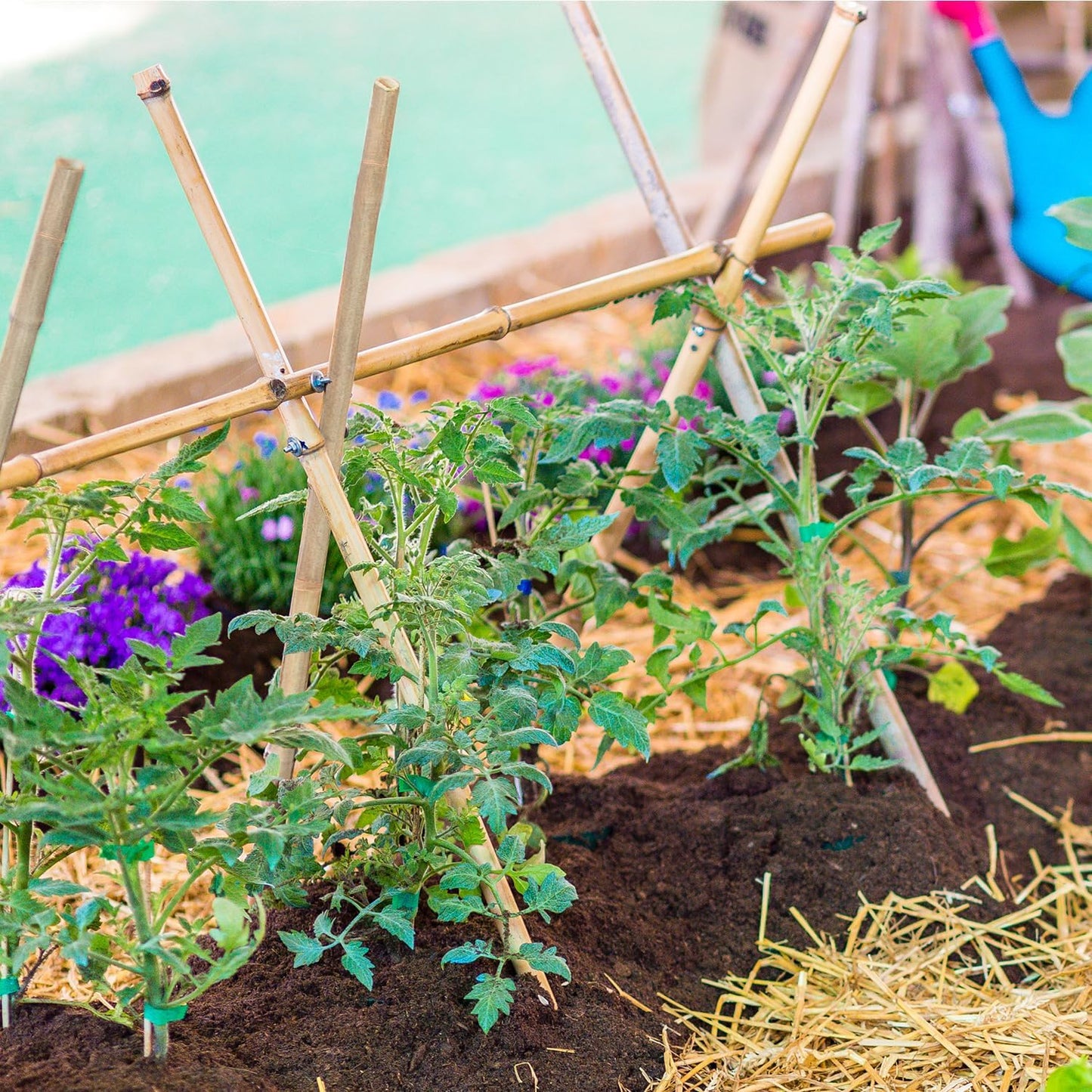 Plant Stakes 16inch, 20Pcs Natural Bamboo Sticks Garden Stakes, HAINANSTRY Plant Support Stakes for Indoor & Outdoor Plants, Orchid Tomato Vegetable Stakes for Garden