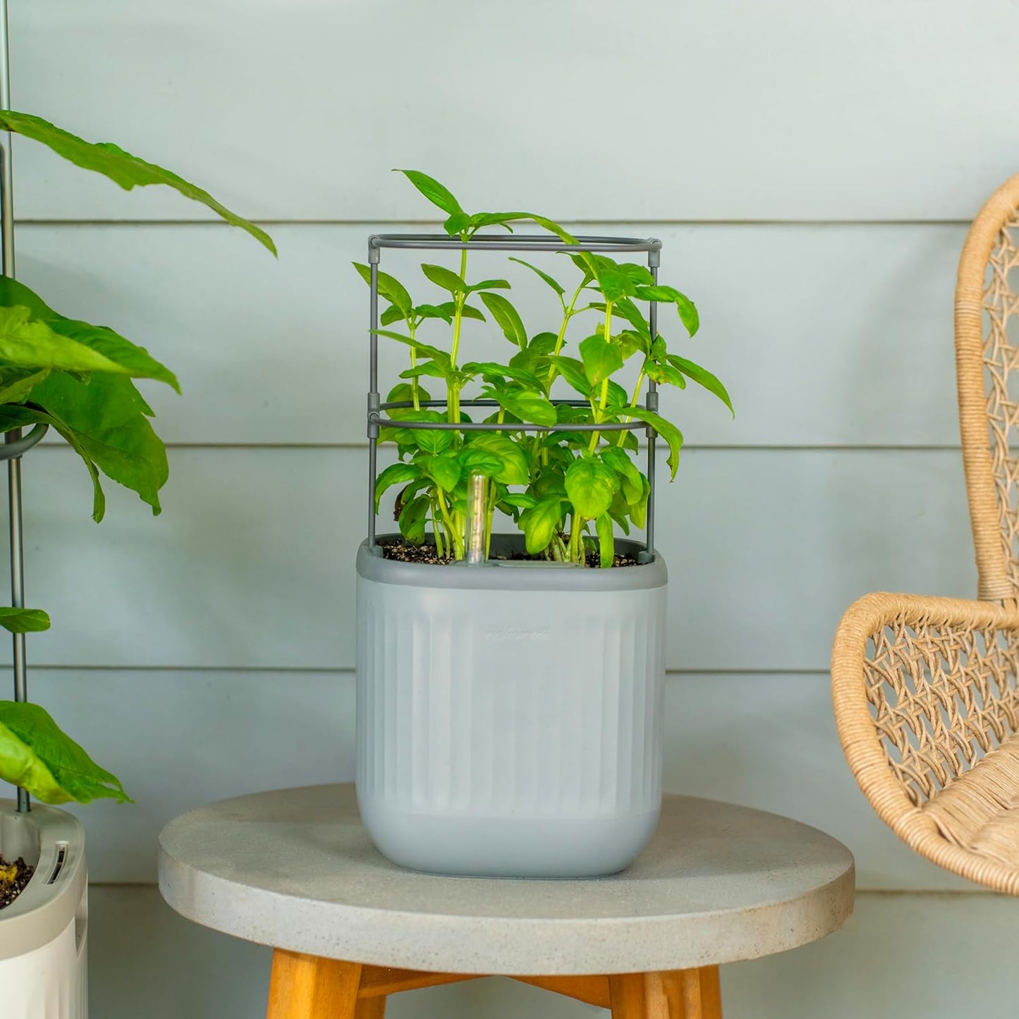 Vego garden Mini Planter Indoor Pots with Trellis Self-Watering Herb Countertop Planter for Climbing Vegetables Flowers Mint Plants Cage- Fog Gray