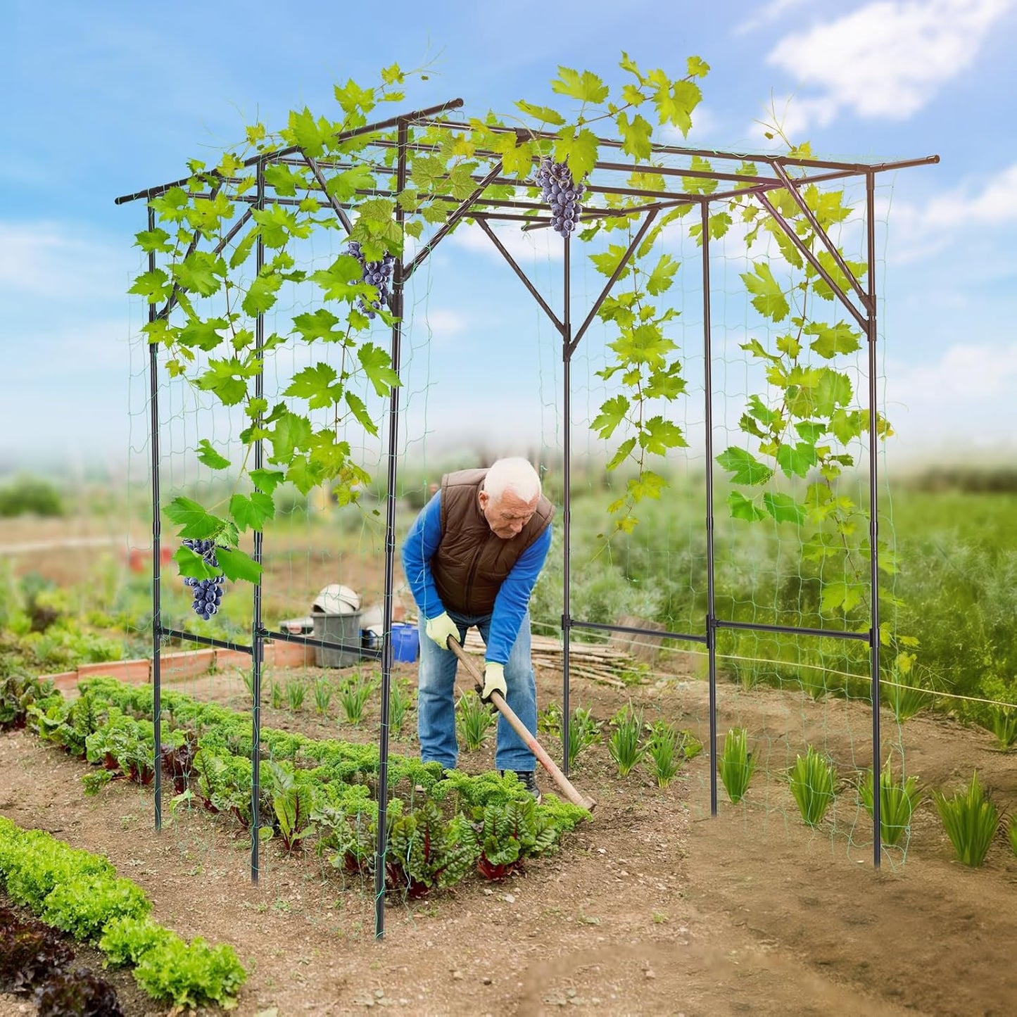 Lalahoni Large Garden Arch Trellis for Climbing Plants Outdoor, 78x78 inches Plastic-Coated Metal Grape Vine Support Arch Arbor Tall Trellis Yard Patio Lawn Yard Garden Decoration, Lightweight