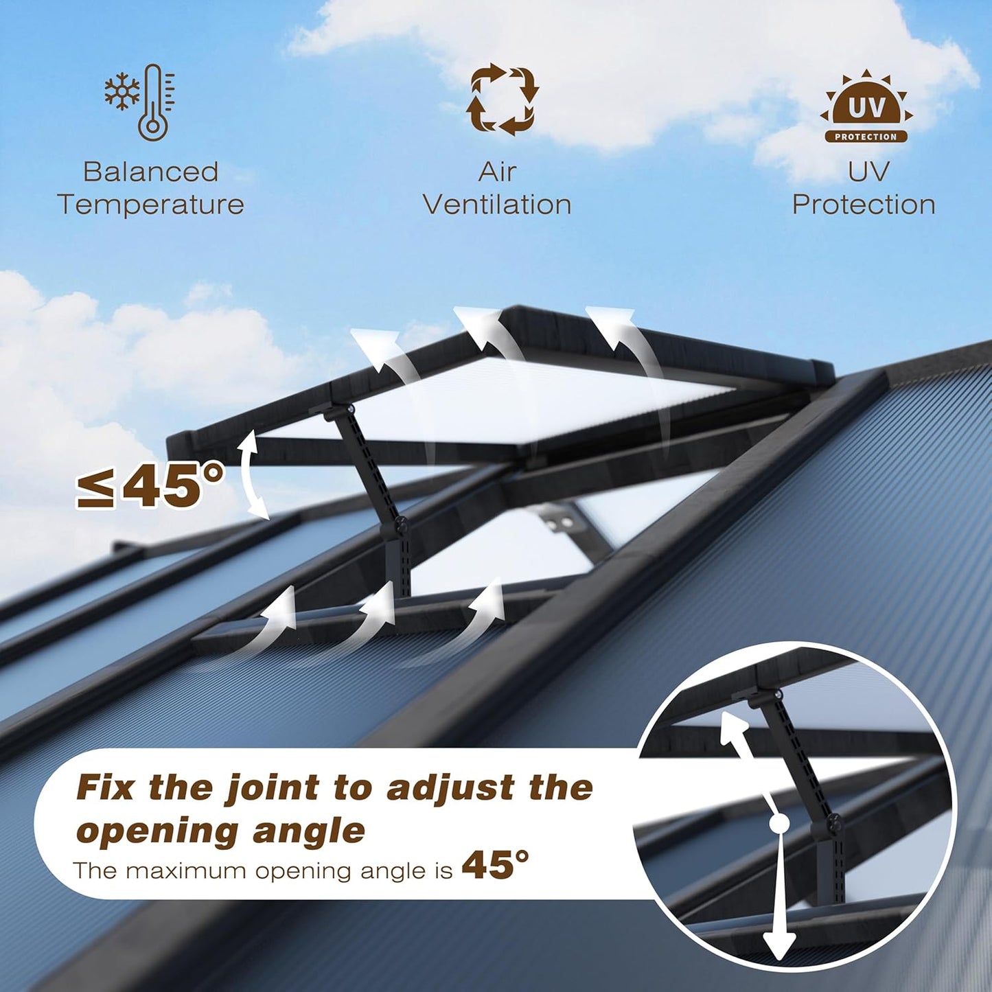 BlueWish 6x8FT Greenhouse, Greenhouse for Outdoor with Cedar Frame, Adjustable Vent, Wood Greenhouses with Polycarbonate Panel, Green House for Outside, Garden, Backyard, Black