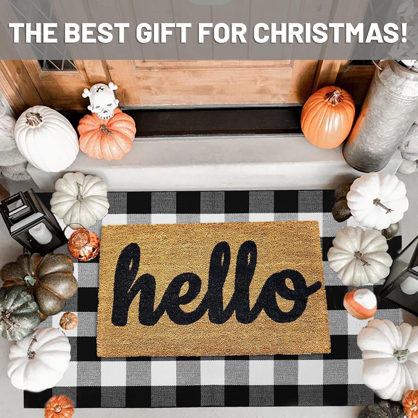 IOHOUZE Buffalo Plaid Checkered Rug 3x5 Ft Front Door Mats, Washable Area Rugs for Front Porch Decor, Spring Summer Welcome Mats Outdoor, Black White Rug for Farmhouse/Entryway/Home Entrance