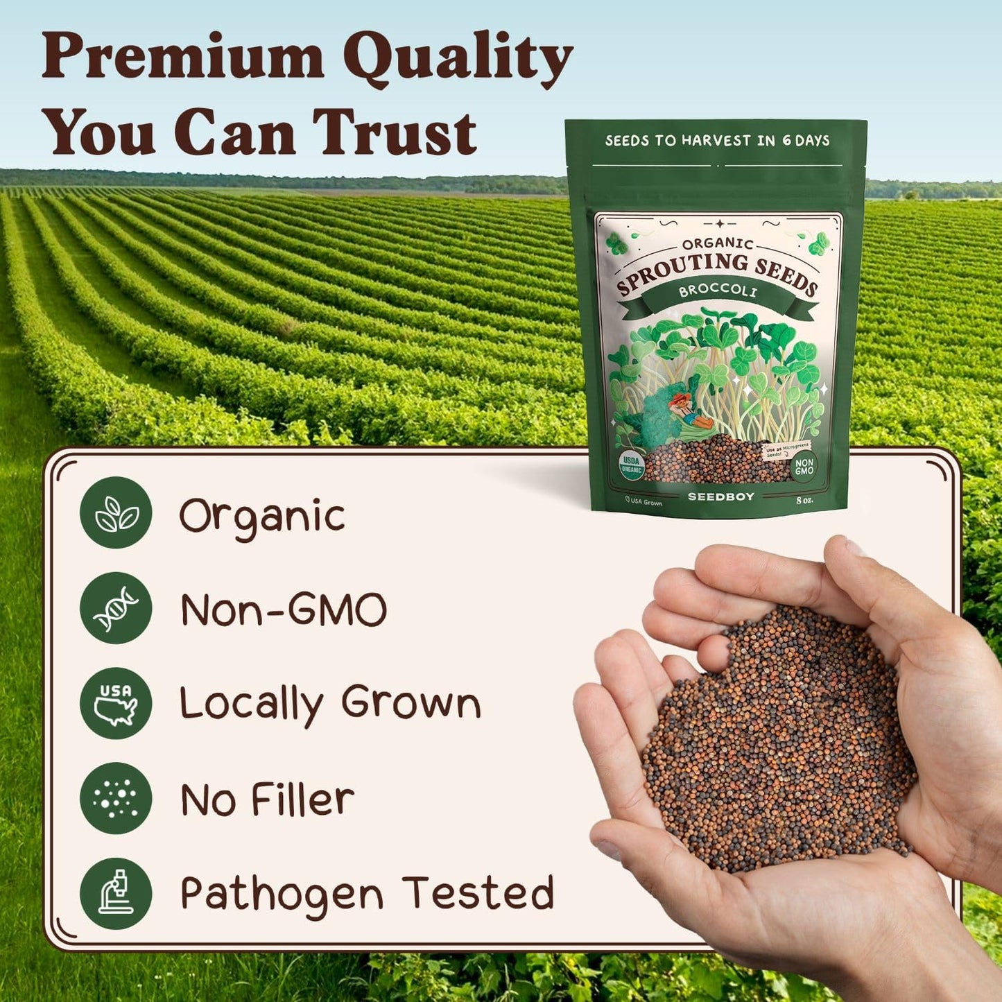 Seedboy Organic Broccoli Seeds for Sprouting - Non-GMO, USA Grown Microgreens Sprouting Seeds Mix - Makes 8 Quarts of Sprouts, 24 Servings (8 oz) (Di Cicco Broccoli)