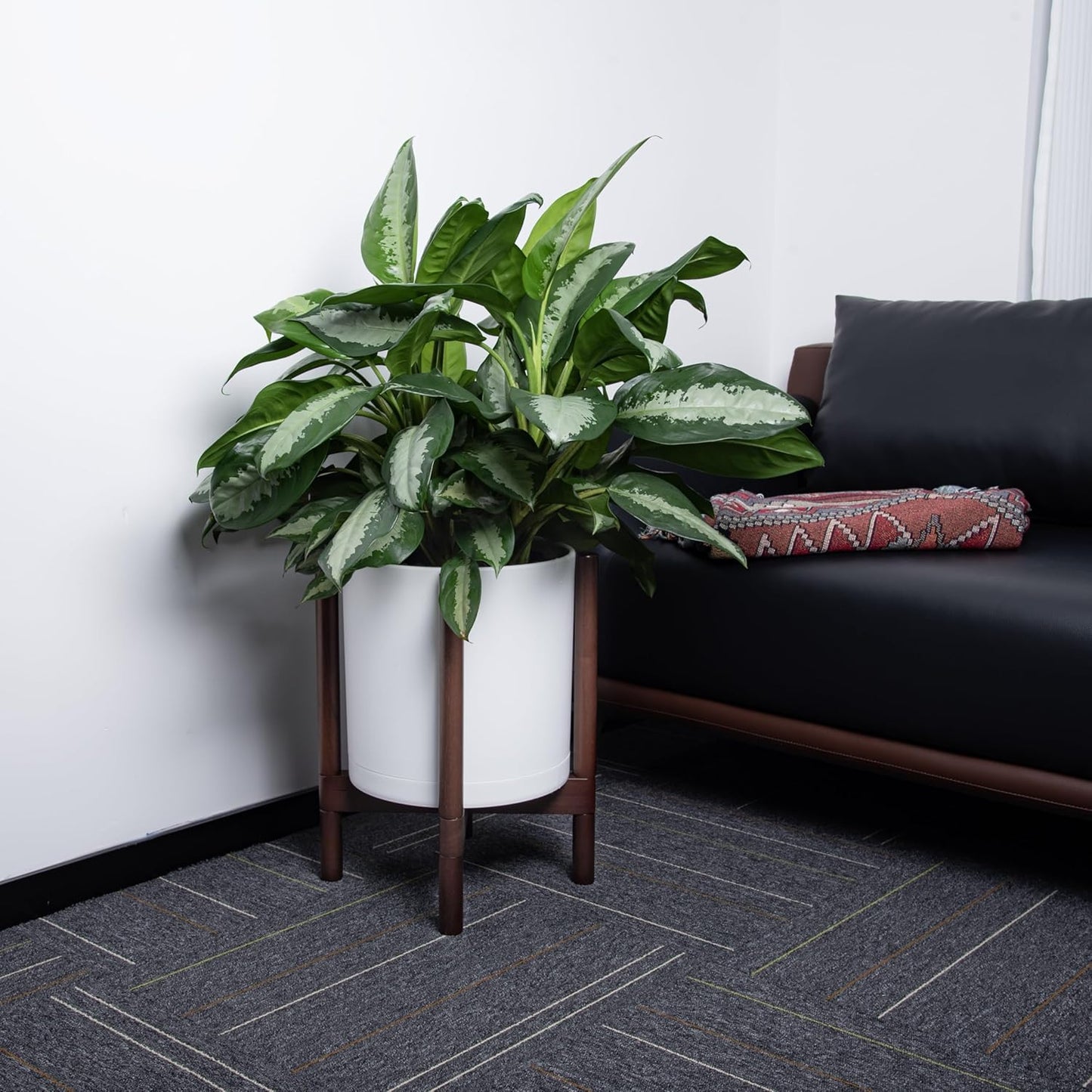 D'vine Dev Planter with Stand - 12 Inch Plastic Cylinder Flower Pot with Wood Holder for Indoor, Matte White Pot + Walnut Color Stand, 55-C-O-1