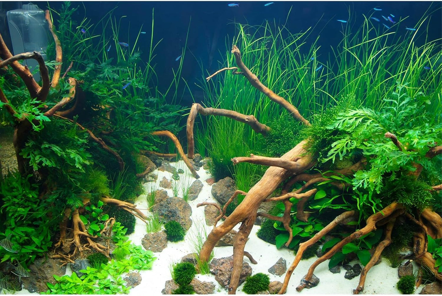 Aquarium Background Various Underwater Grass Plants Aquarium Backdrop Vivid and Fresh Green Aquatic Plants Stone River Bed and Dead Wood Yellow Stone Fish Tank Background 30x18in