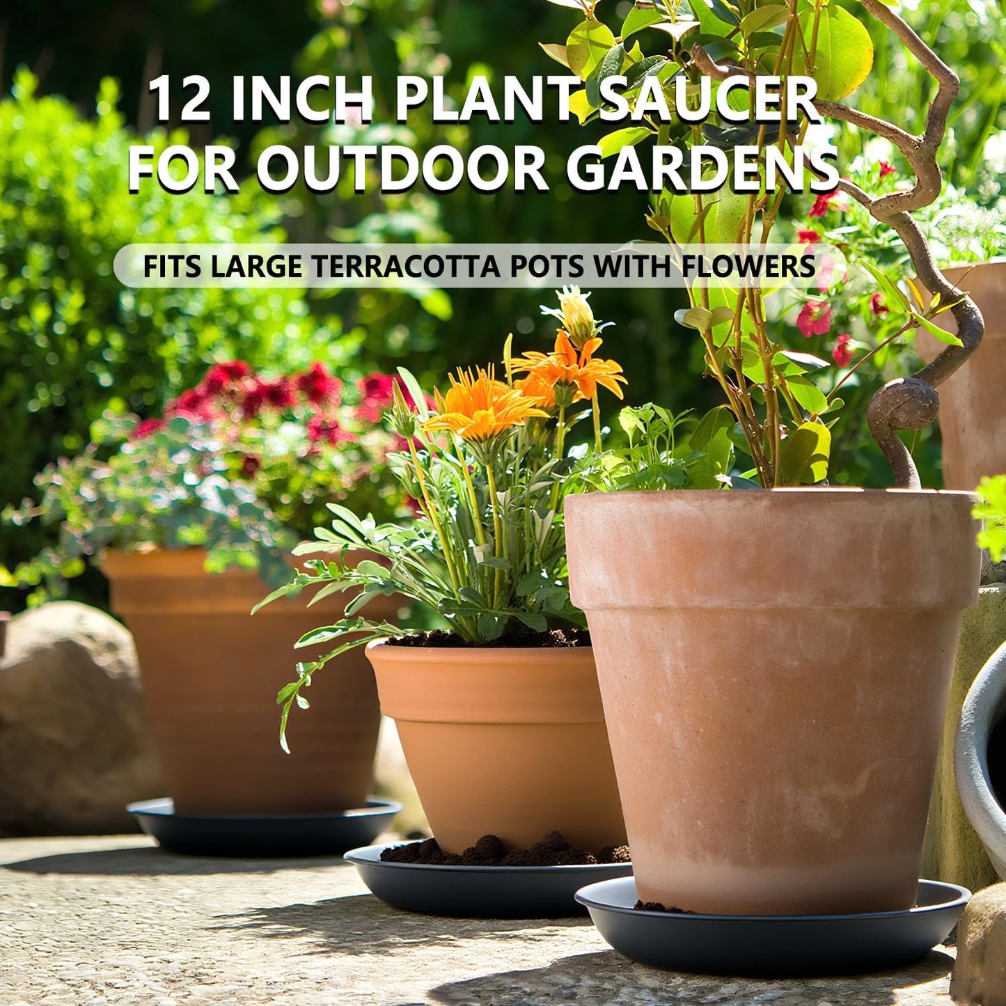 6 Pack 12 Inch Large Gray Plant Saucer Trays, Durable Heavy Duty Plastic PP Planter Bases, Round Water Catcher Plates and Drip Trays for Indoor Outdoor Gardening