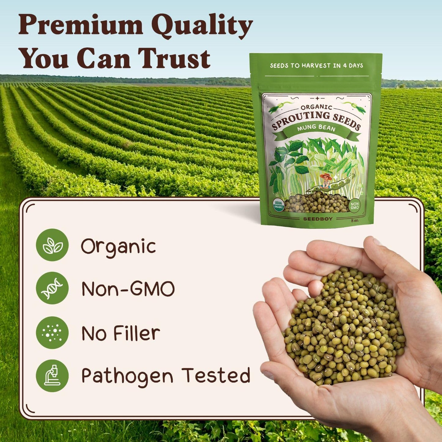 Seedboy Organic Mung Bean Seeds for Sprouting - Non-GMO, USDA Organic Sprouting Seeds Mix - Makes 5 Quarts of Sprouts, 15 Servings (8 oz) (Mung Bean)