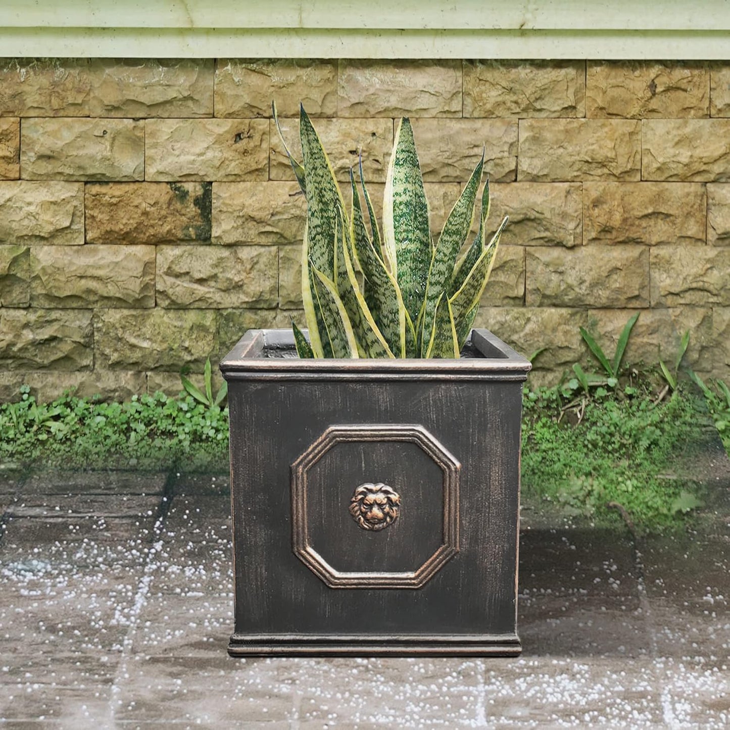 Kante Square Lion Head Concrete Planter, Classic English Style Plant Pot with Drainage Hole and Rubber Plug for Indoor Outdoor Garden Patio Home, 12.6"x12.6"x12.6" Metallic Chestnut