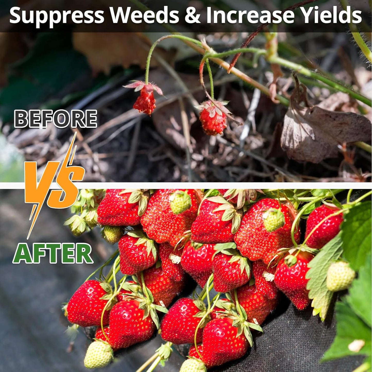 4FT x 100FT Weed Barrier Landscape Fabric, 3.2oz Premium Heavy Duty Lawn Garden Cloth, Woven Geotextile Ground Cover with 20 U-Shaped Pegs for Gardening, Farming, Driveway, Greenhouse(2 Pack 4x50ft)