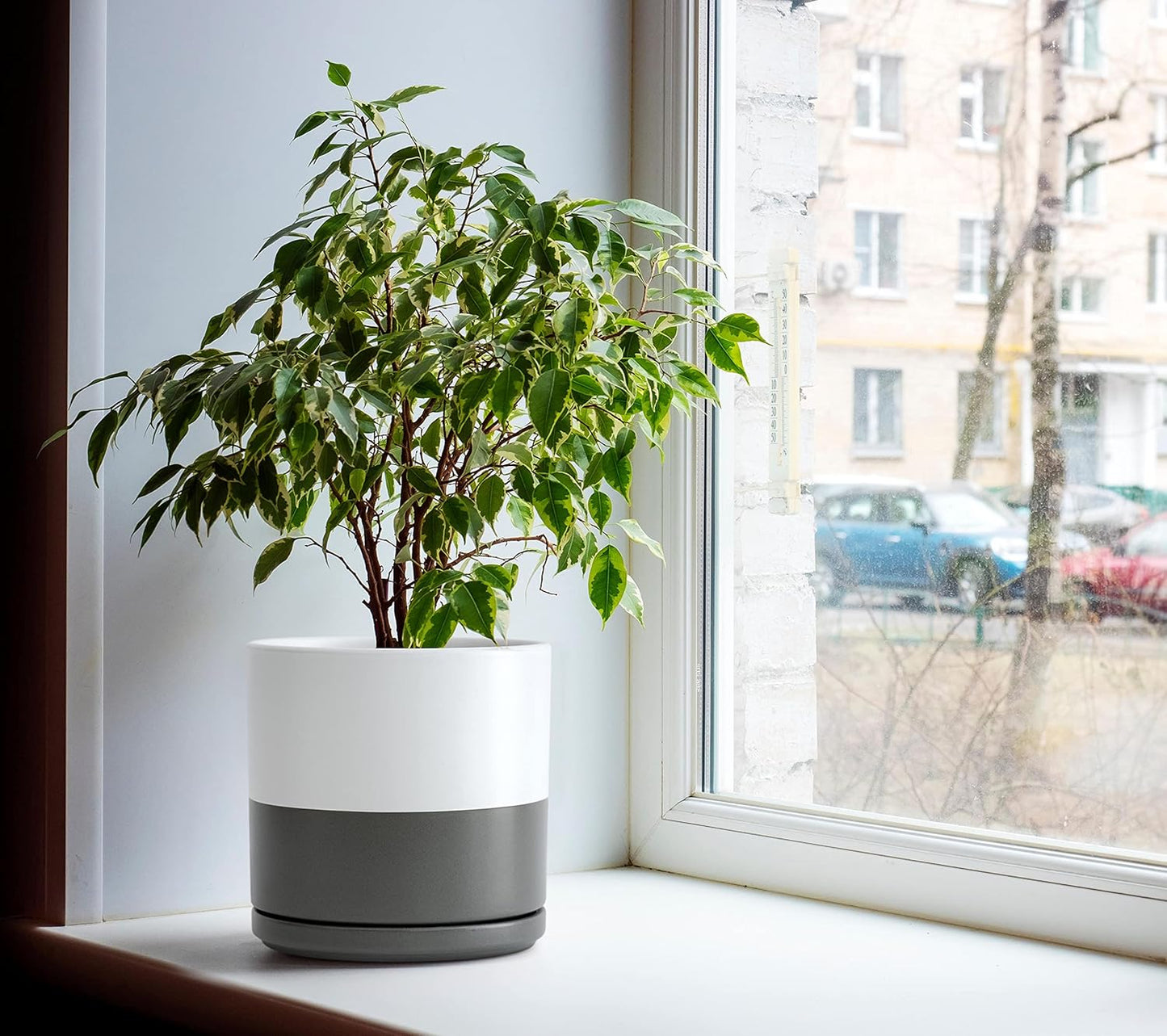 D'vine Dev 8 Inch & 10 Inch Ceramic Planter Pot for Plants with Drainage Hole and Saucer, Large Plant Pots Set, White/Speckled Grey, 94-G-L-6