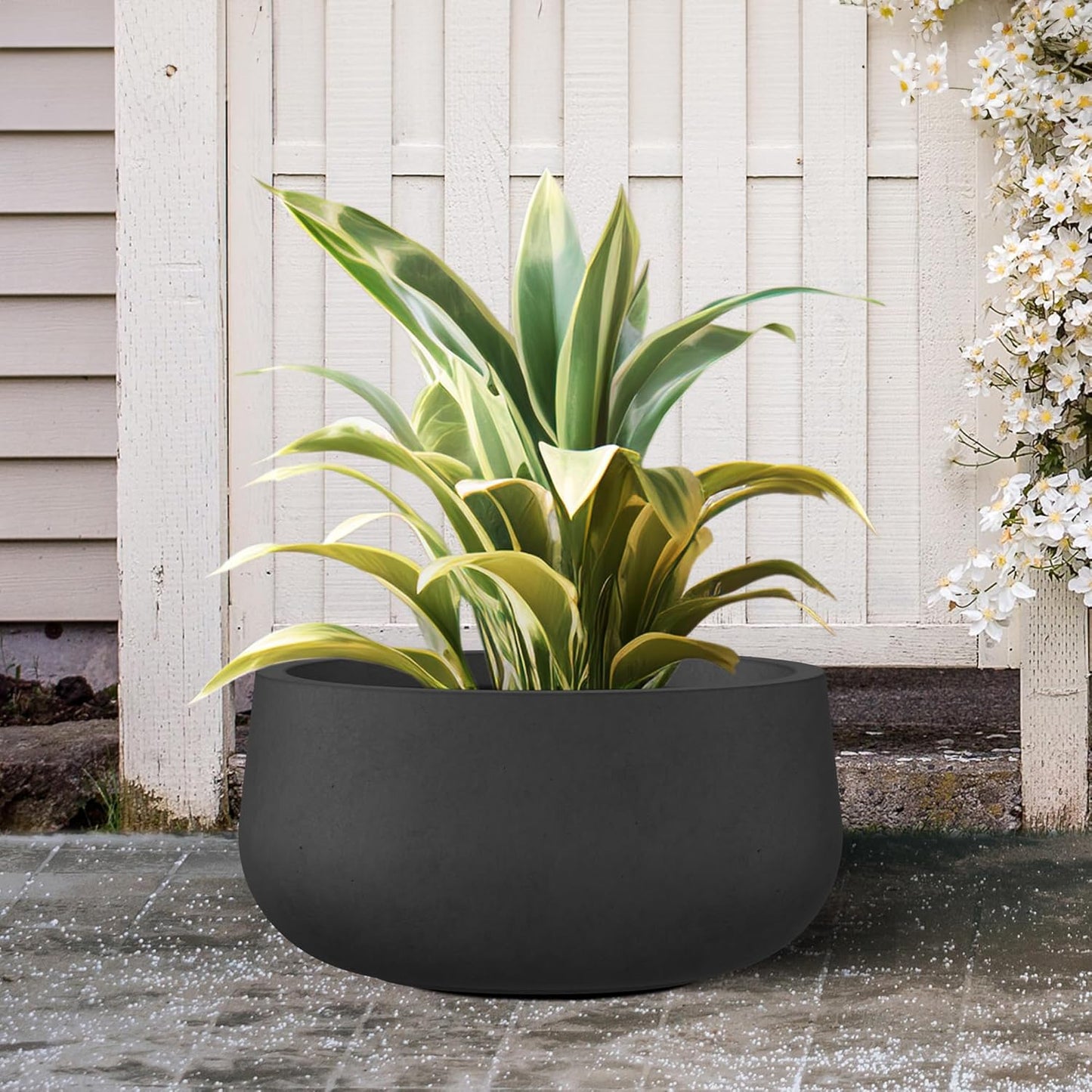 Kante 15.7" Dia Round Concrete Planter, Outdoor Indoor Garden Plant Pots with Drainage Hole and Rubber Plug, Modern Curvaceous Design, Black