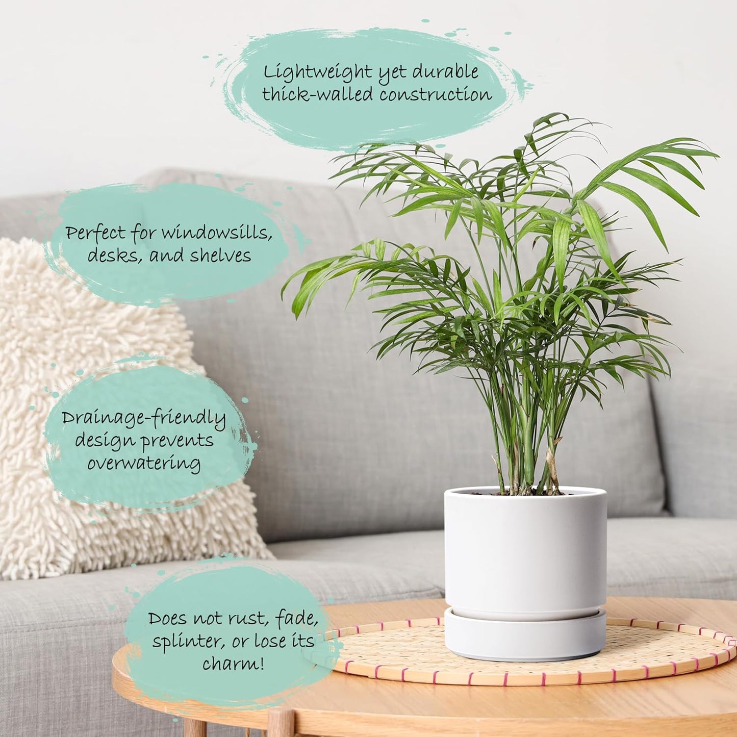 Phoenix Vine 6 Inch Planter Pot with Drainage Hole & Saucer, Deep Water Catch Tray, Straight Cylindrical Round Pot for Plants, Matte White, Pack of 4, 23-B-S-4