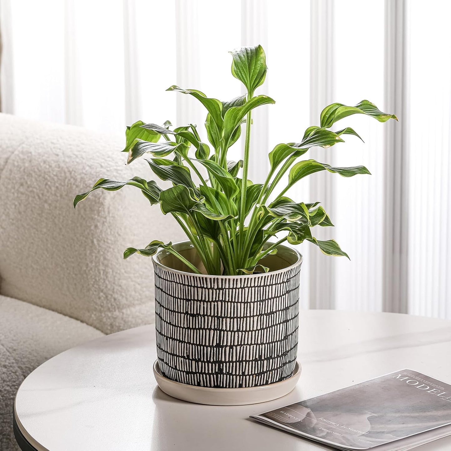 8 Inch Plant Pot: Ceramic Planter with Drainage Hole & Saucer for Indoor Outdoor Plants - Flowerpot with Bonded Tray for Home Office - Mixed Stripe Debossed
