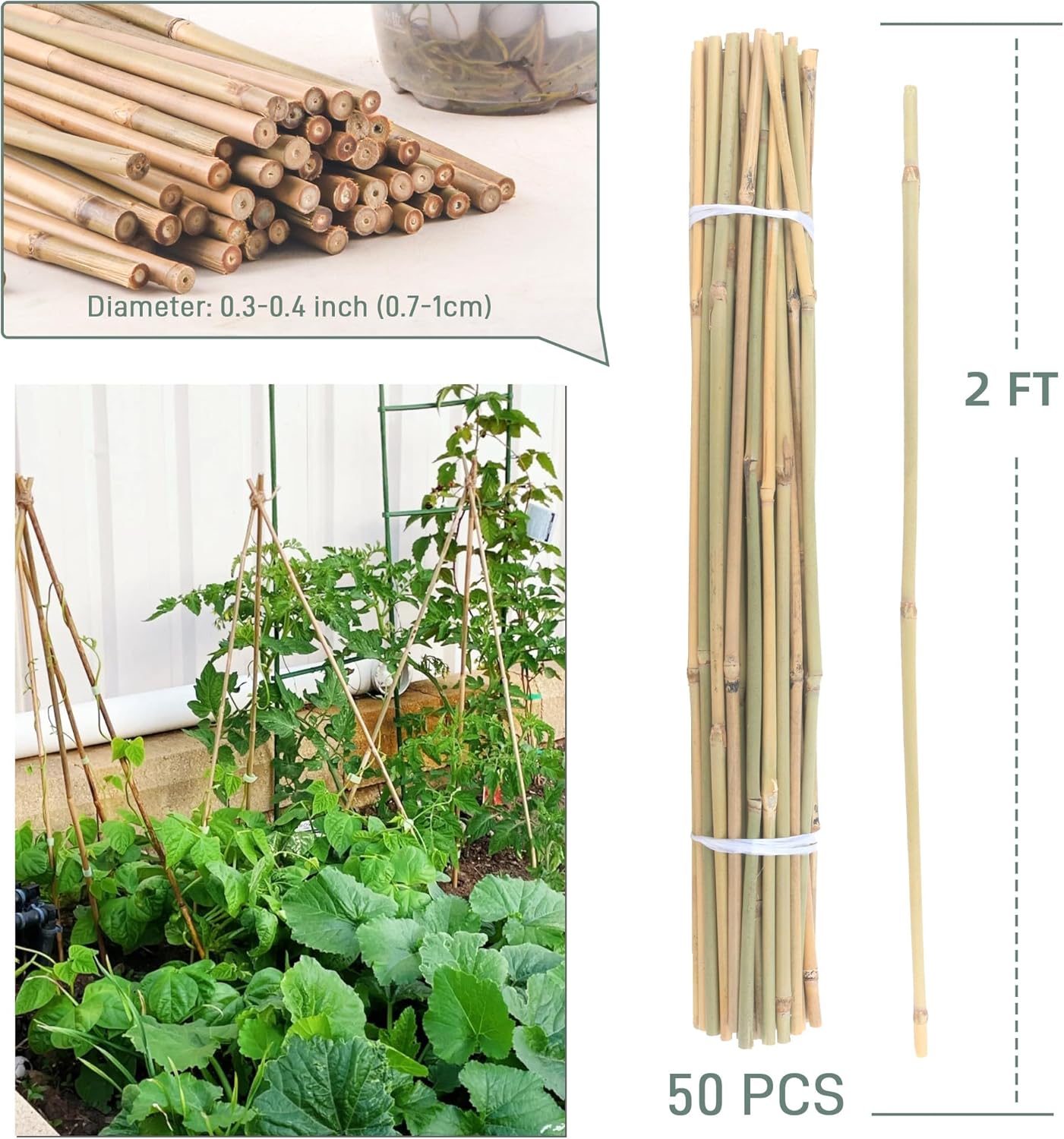 50Pcs / 2ft Bamboo Plant Stakes for Indoor Outdoor Plants, Garden Plant Support Sticks, Poles for Tomato Vegetables Beans Trees Potted Climbing Plants(0.32'')